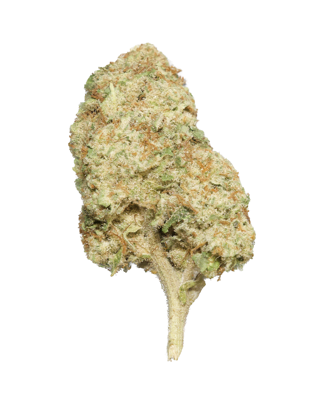 Strawberry Guava.png (Copy) (Copy)