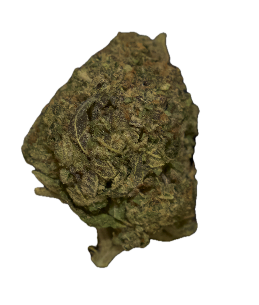 sunset sherbert.png