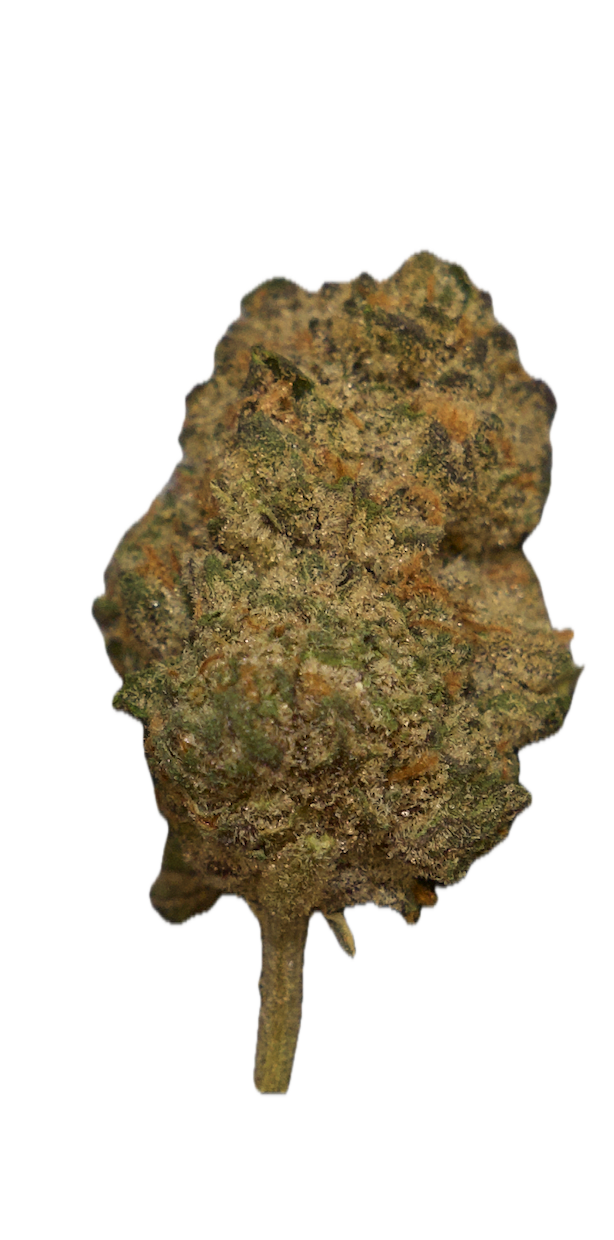 SALTED WATERMELON.png