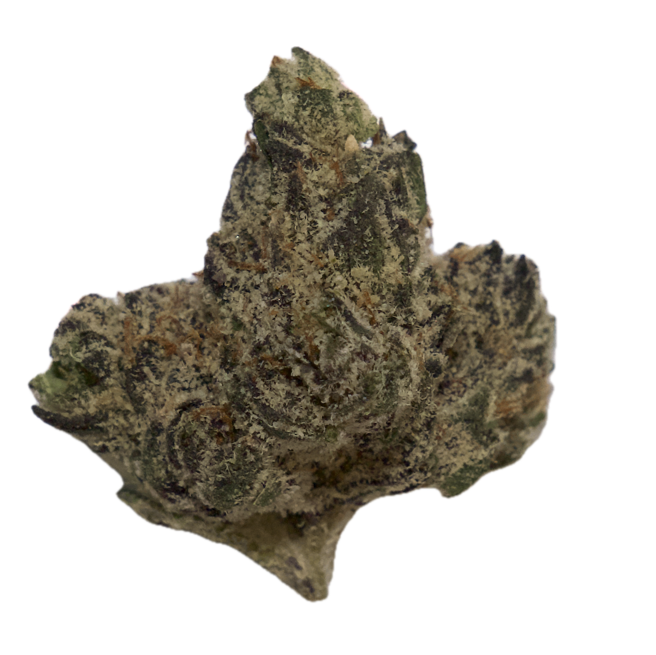 Exotic Dark Matter  (3.5g)