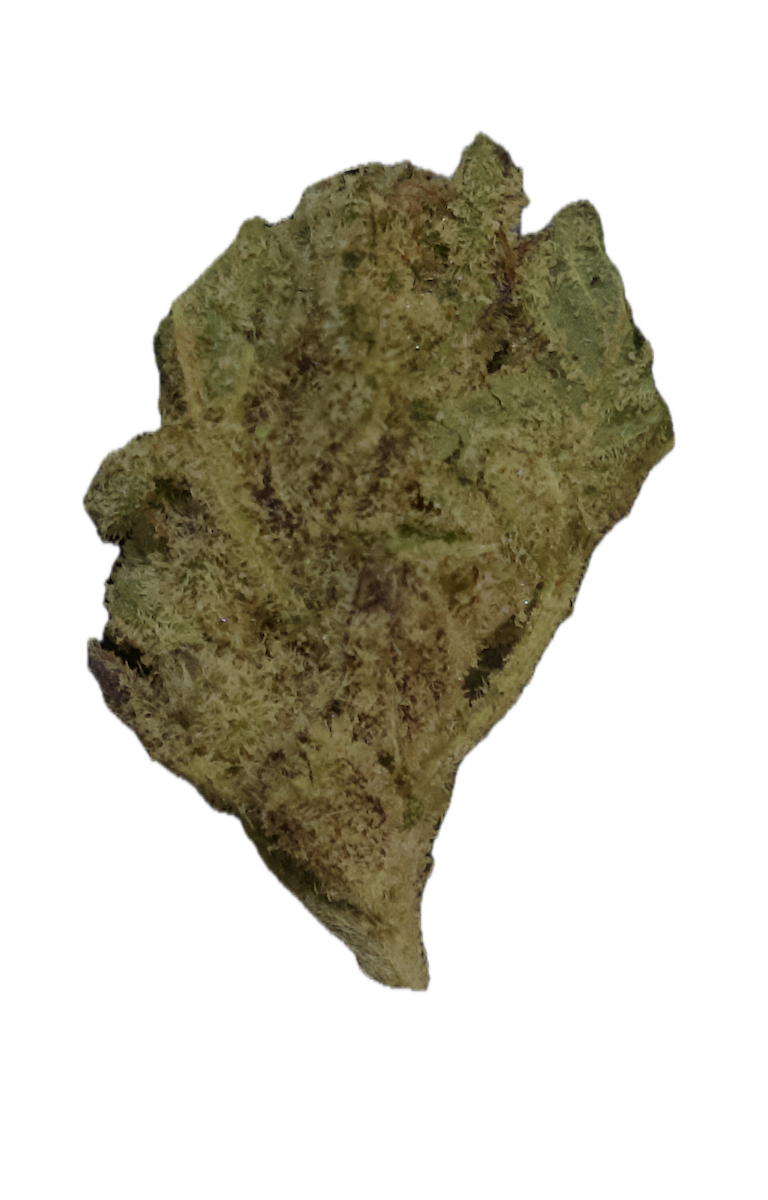 Motor Breath (3.5g)
