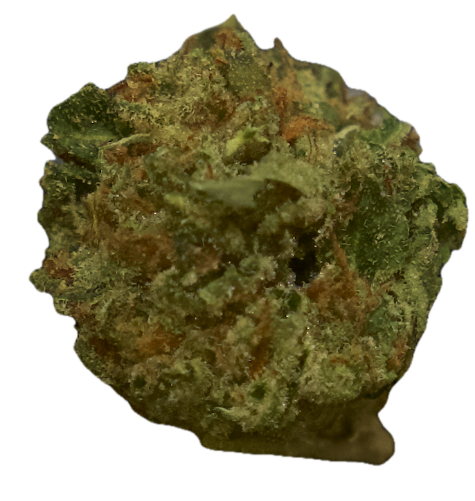 Gelato 41.png
