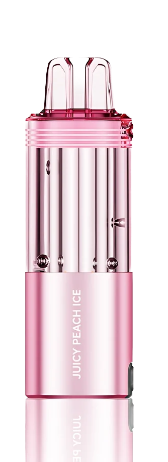 juicy-peach-ice-switch-pro-30k-puffs-disposable-pod-box.jpg copy.png