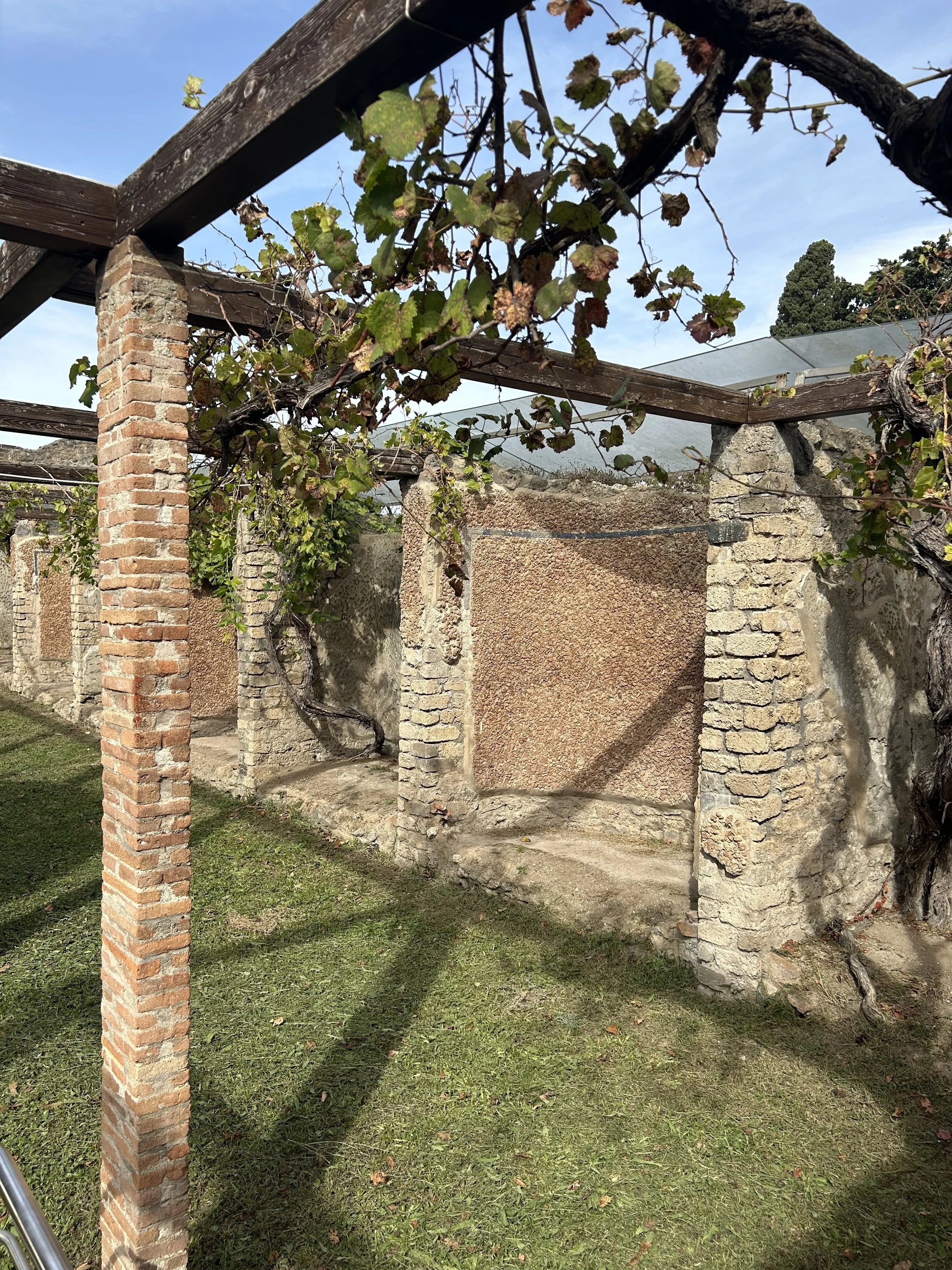 A wall with a series of alcoves and a set of wooden beams above, with vines hanging from them. Grass is below and a blue sky above.