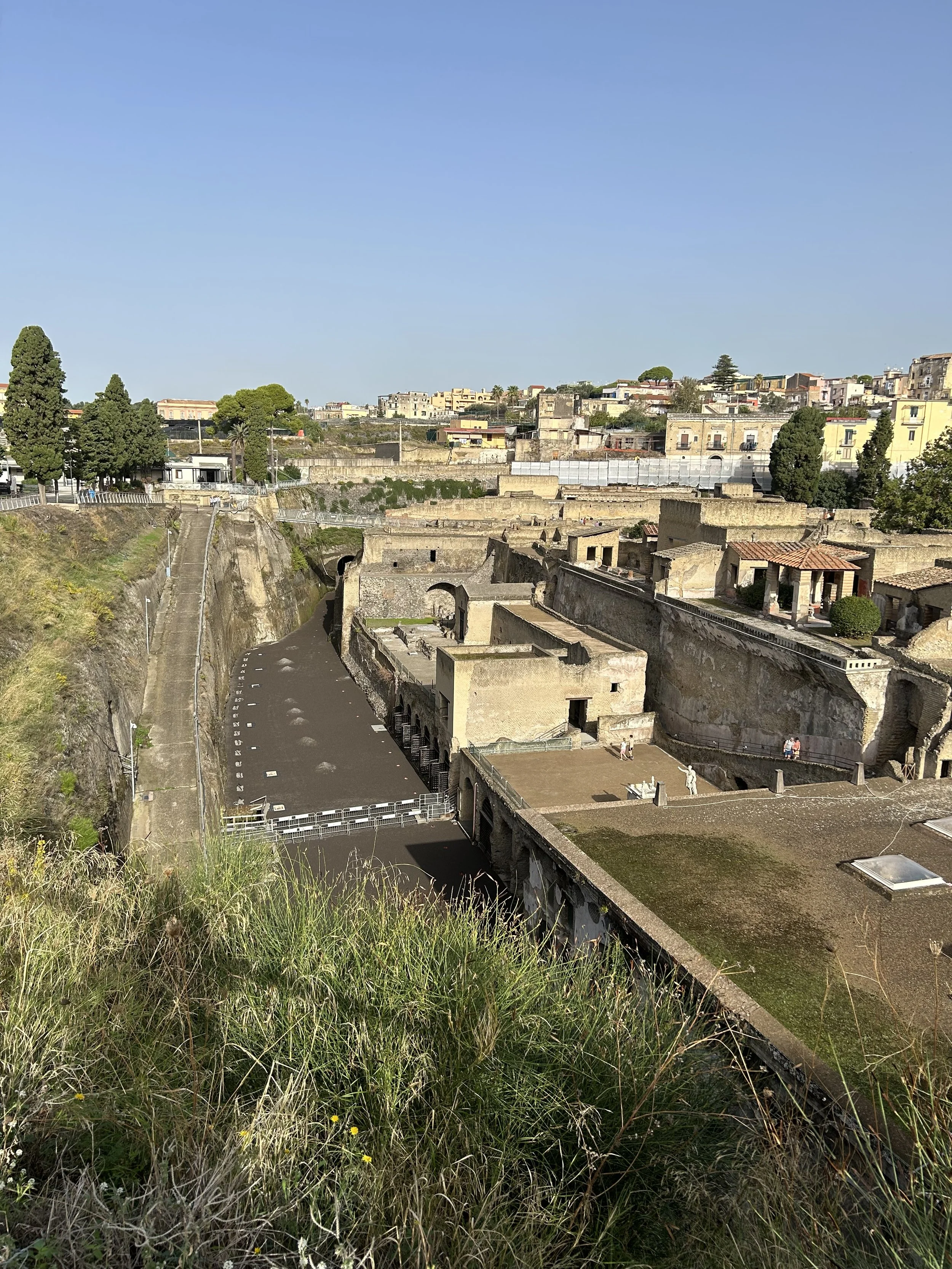 A view from the top of a hill. Below are ancient roman buildings, with more modern buildings in the distance beyond.