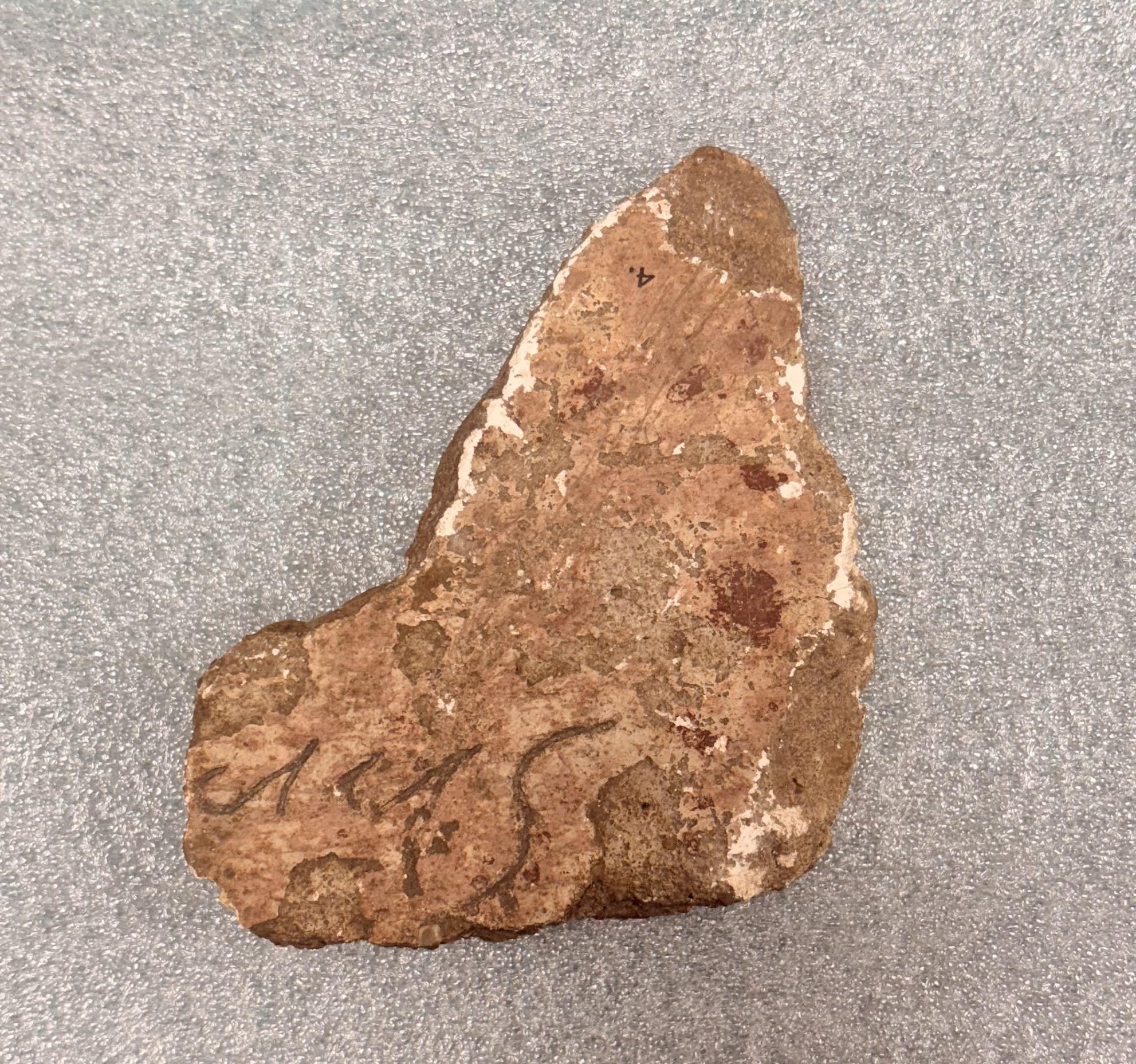 A fragment of a wall, pinkish in colour, with the word ‘cacas’ engraved into the plaster.