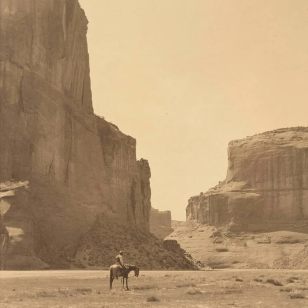 Anapa Lisboa coming soon 🌞