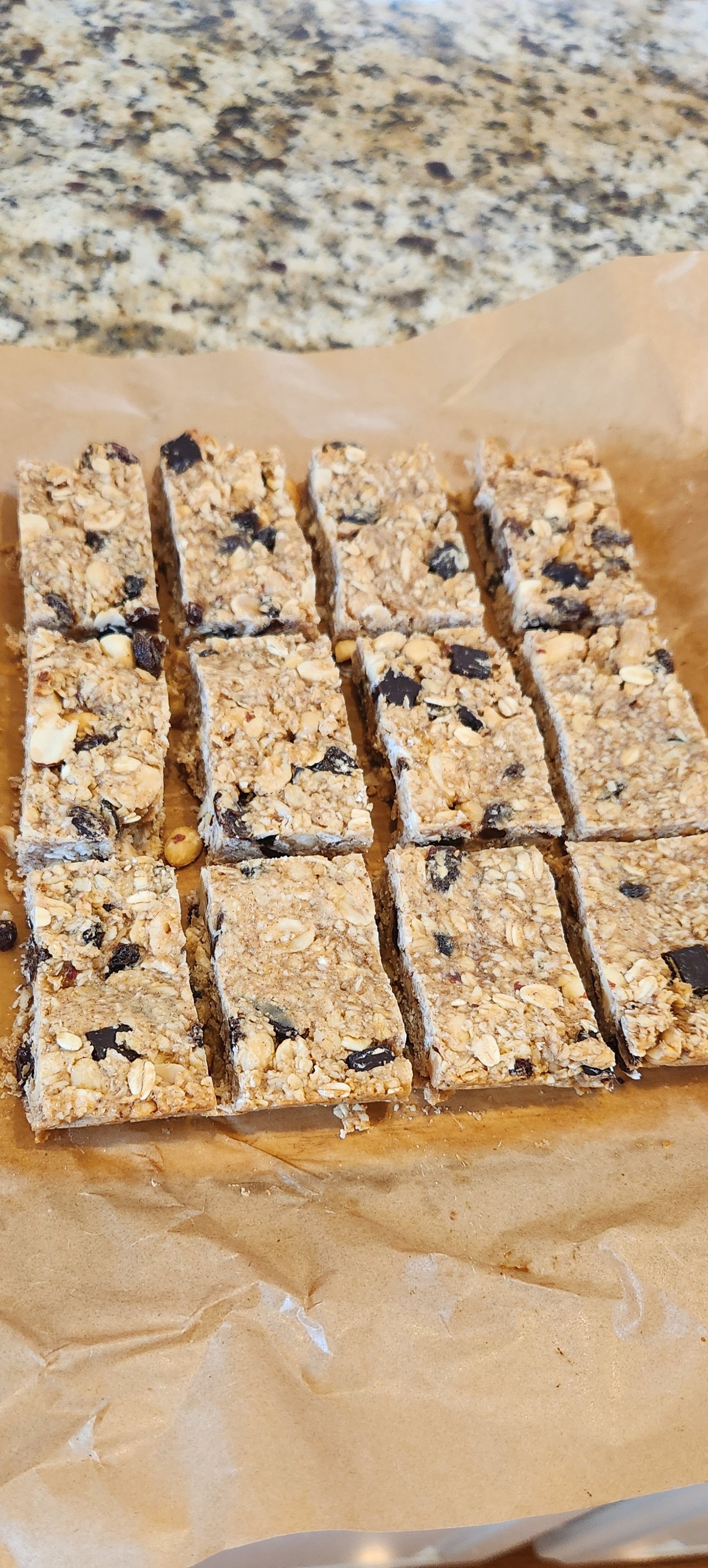 Dad Bar Sourdough Granola Bar