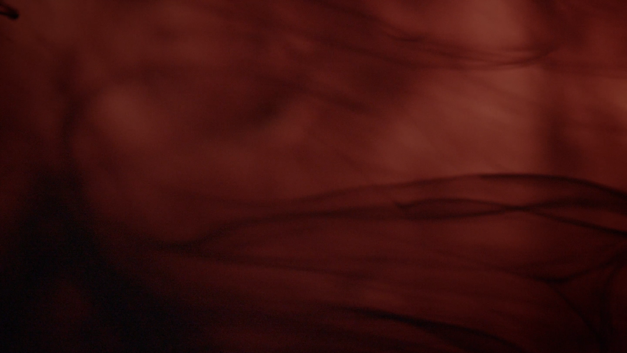 POST13_MA MAISON EST EN FEU70.png