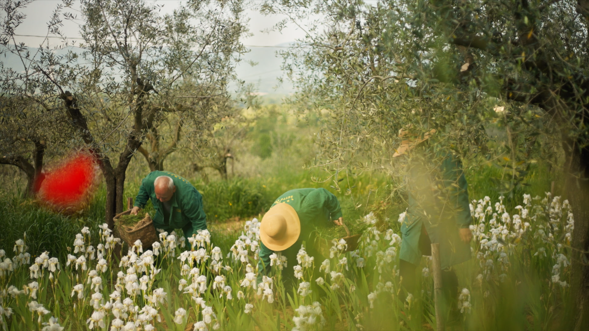 NEW DIOR IRIS GARDEN30.png
