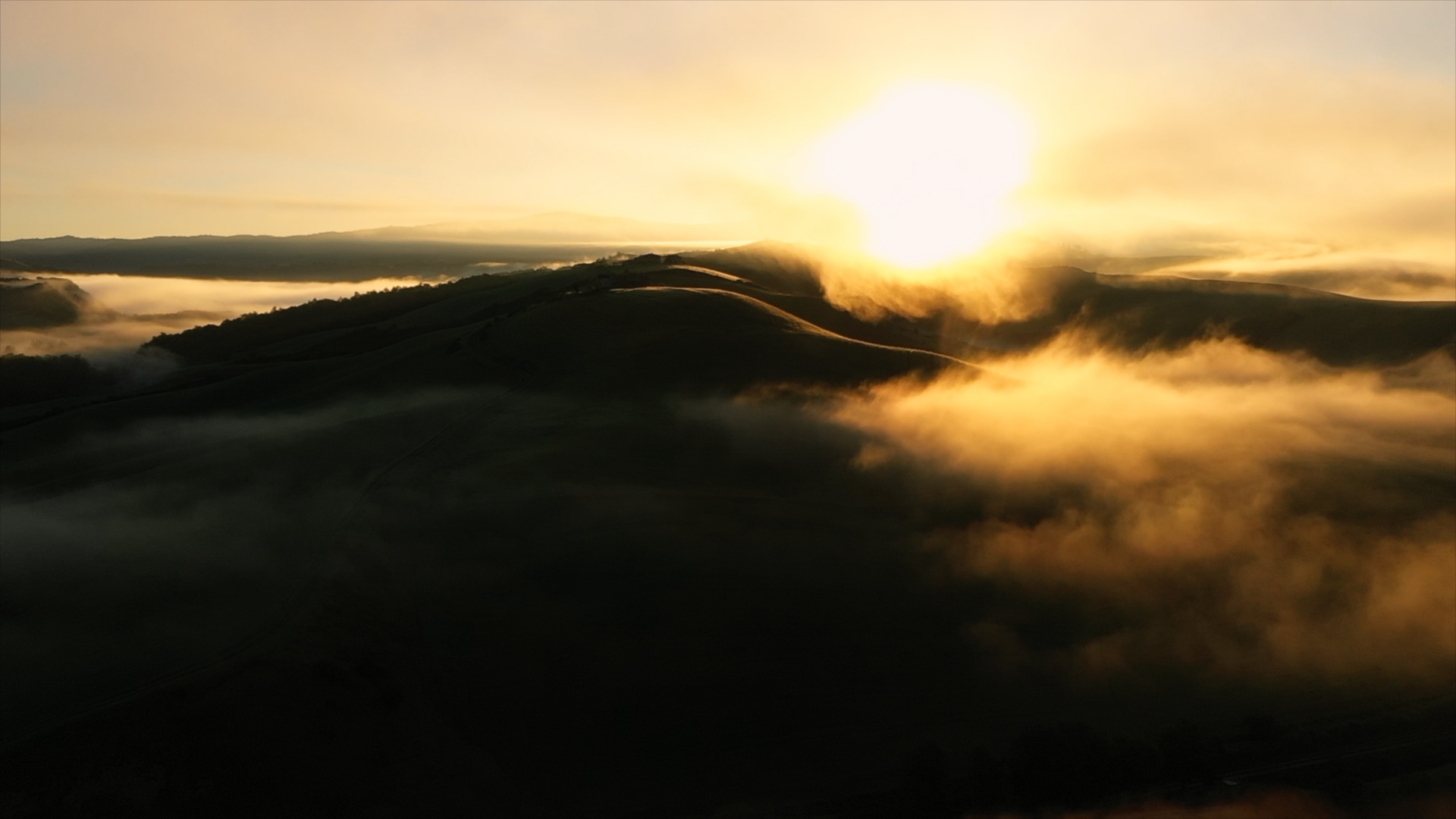 NEW DIOR IRIS GARDEN10.png