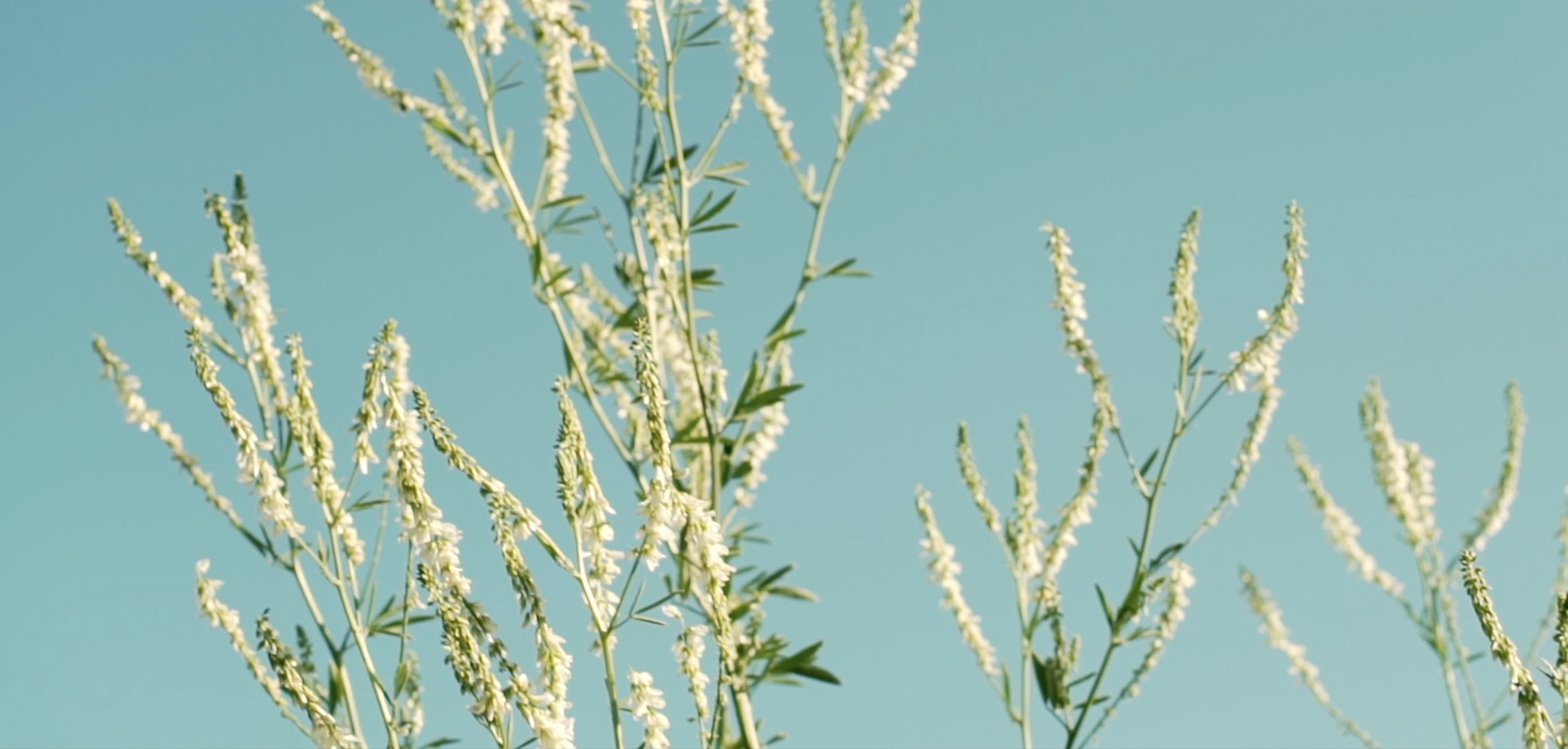 Capture d’écran 2025-11-20 à 15.43.38.png