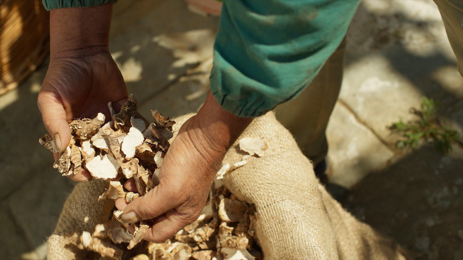 NEW DIOR IRIS GARDEN110.png