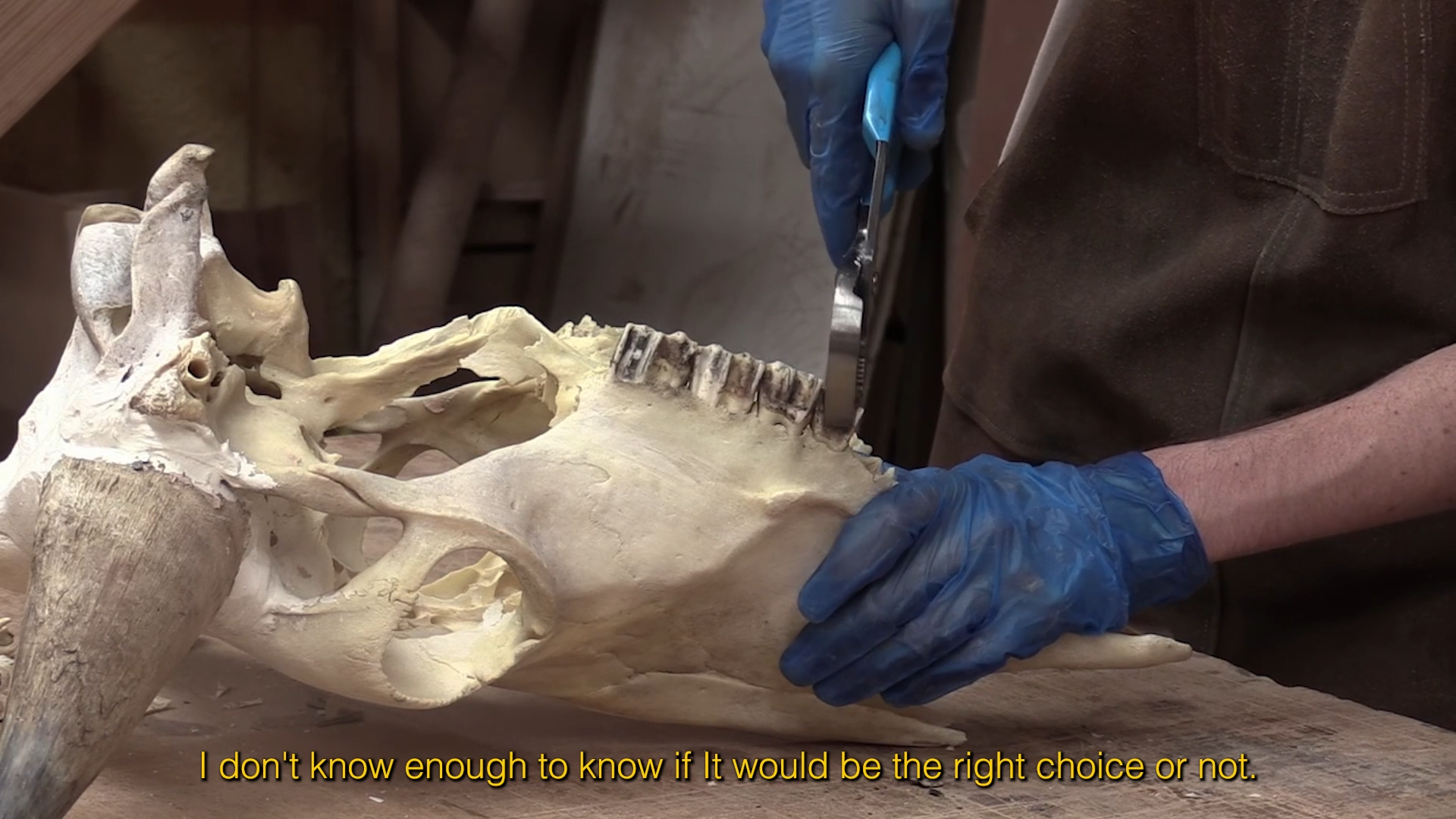 POST9_HEME_LEA BOUANICH60.png