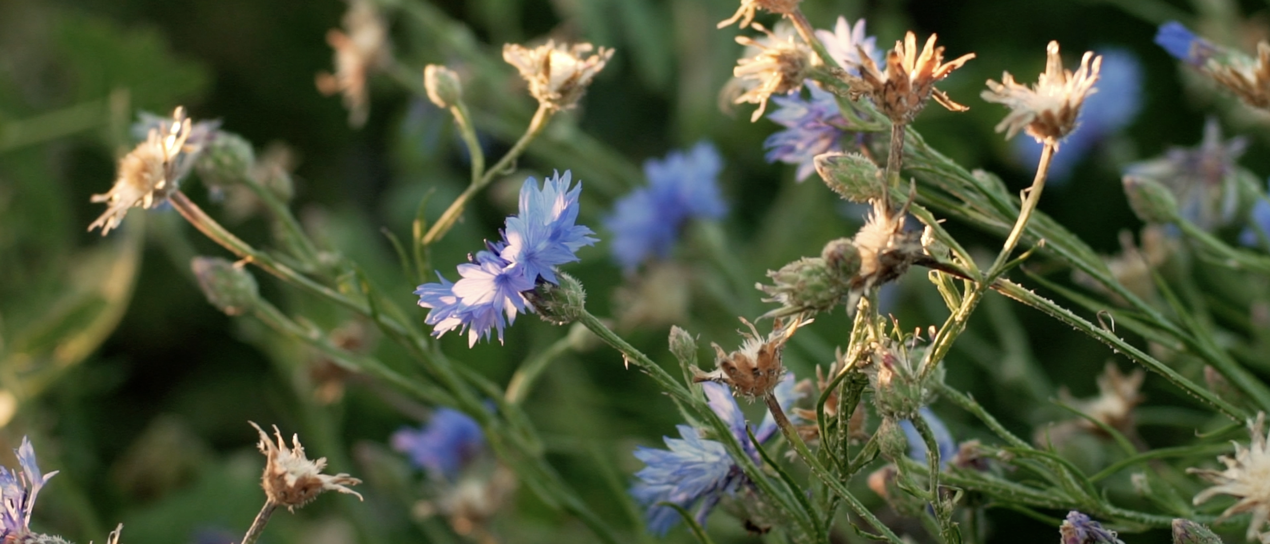 Capture d’écran 2025-11-20 à 15.42.39.png