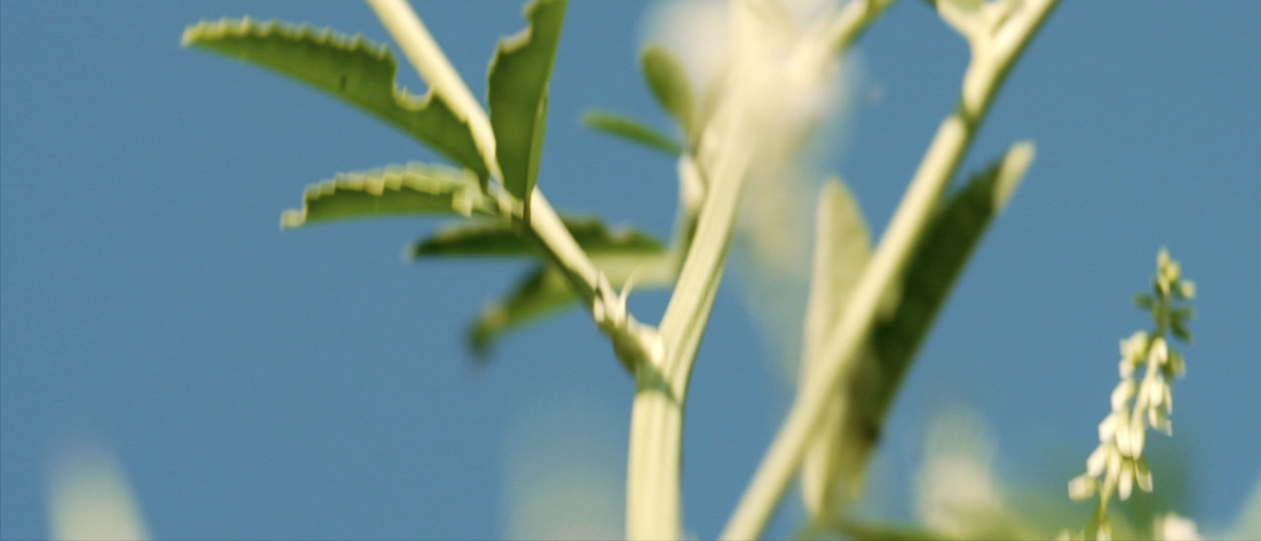 Capture d’écran 2025-11-20 à 15.43.07.png