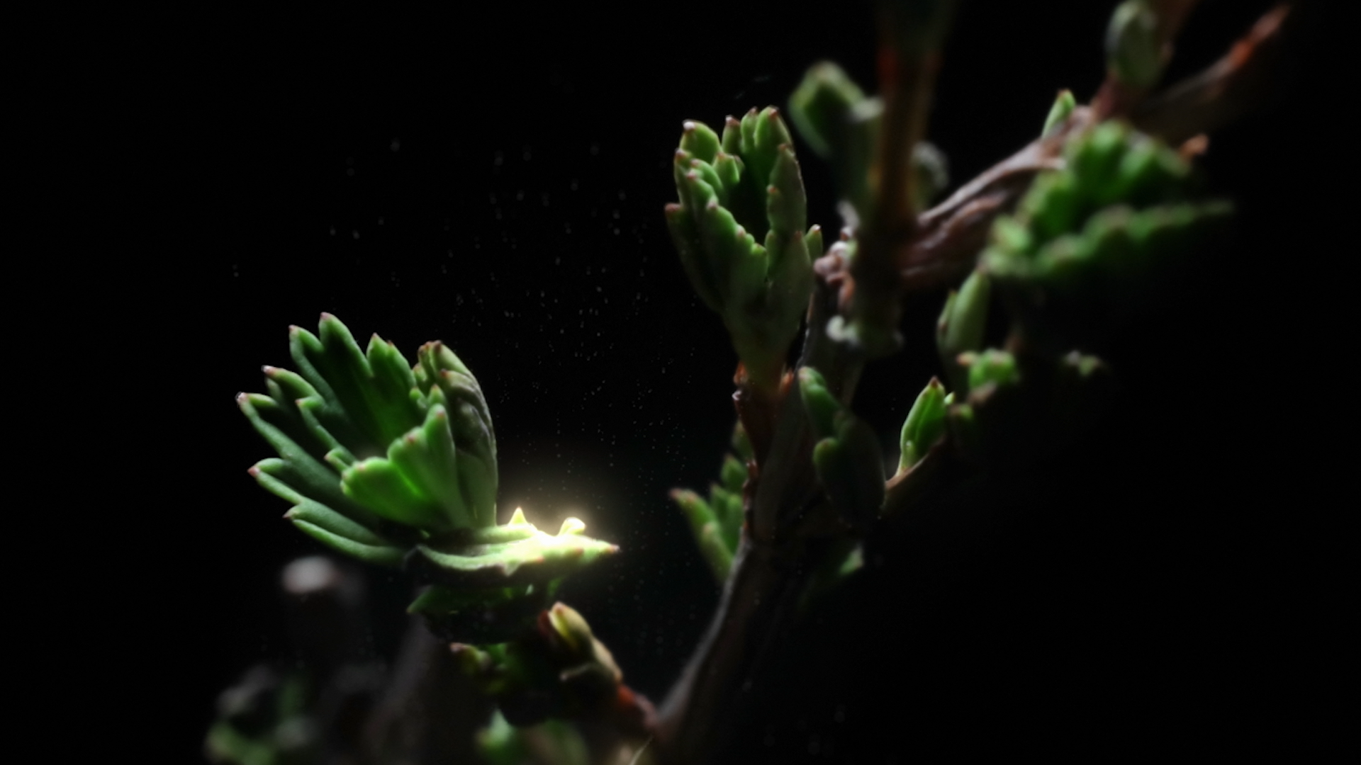 GIORGIO ARMANI_ROUTINE.png140.png