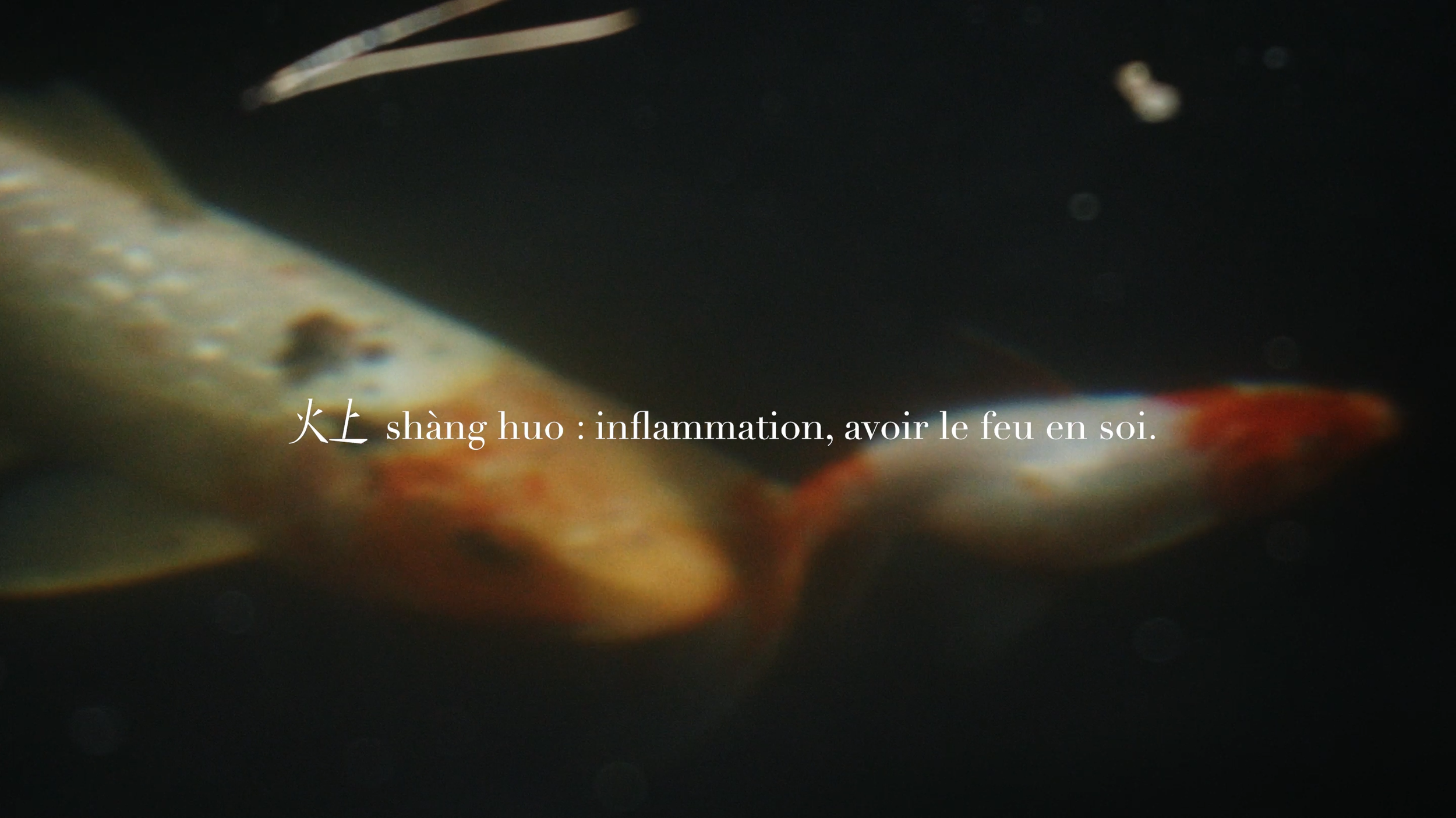 POST13_MA MAISON EST EN FEU30.png