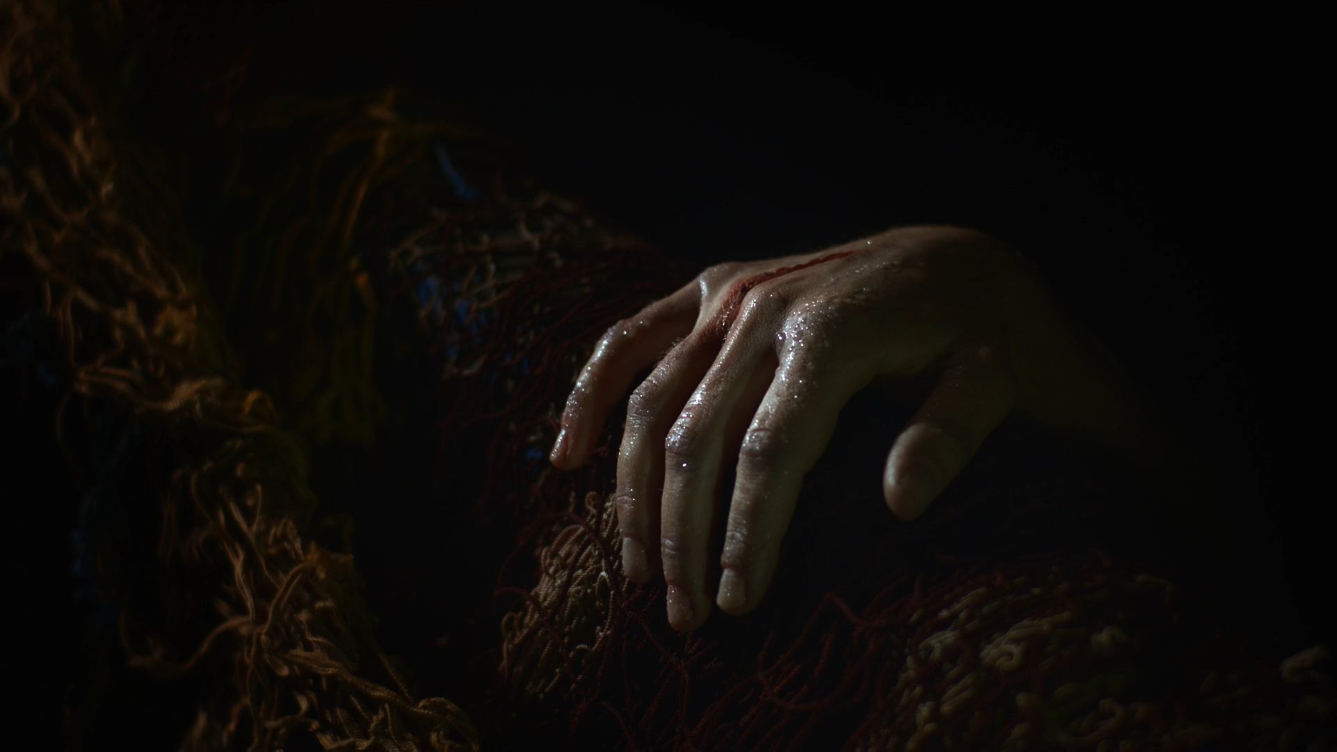 1_POST1_HALA DA FRANKIE1.png