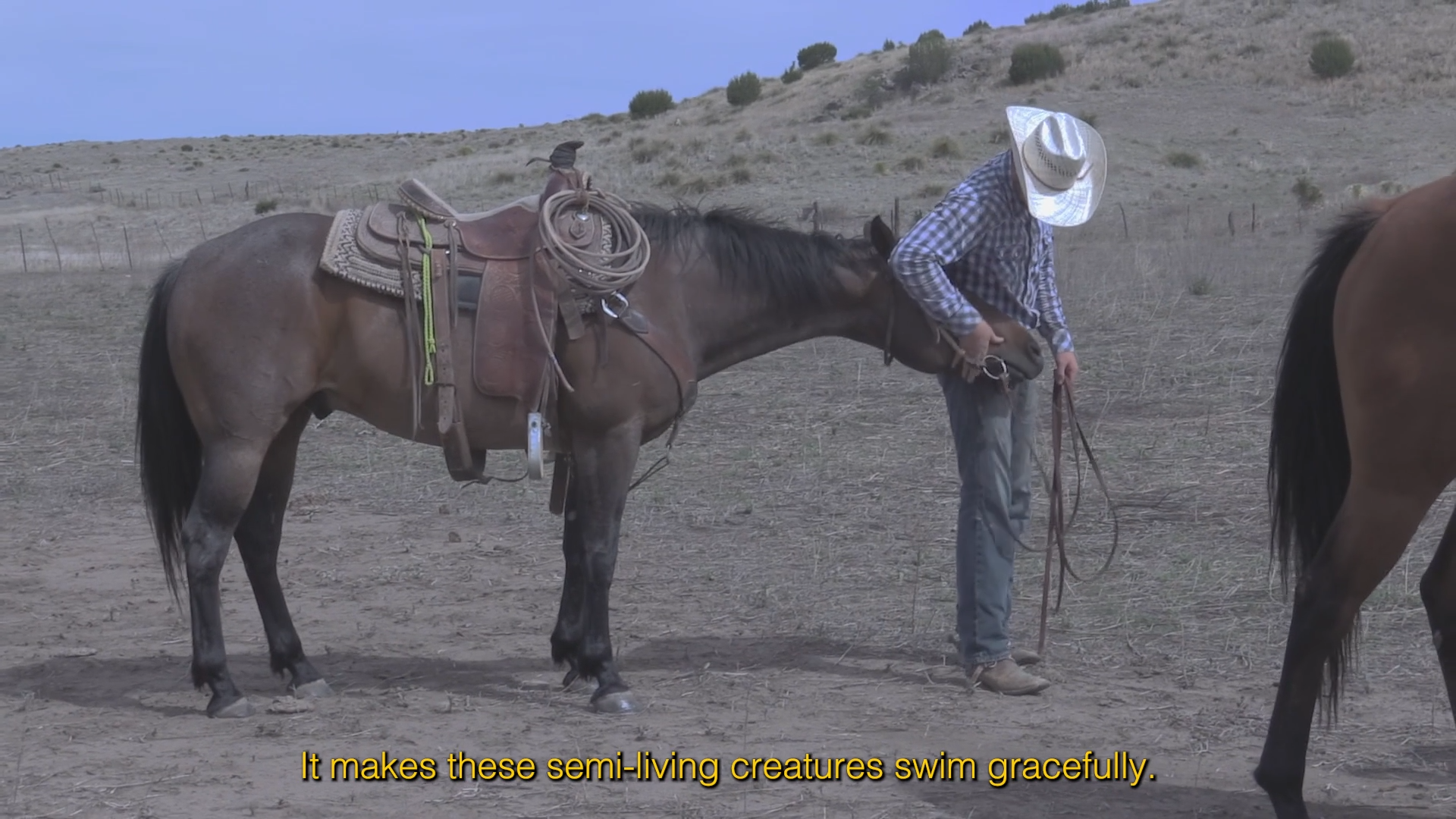 POST9_HEME_LEA BOUANICH20.png