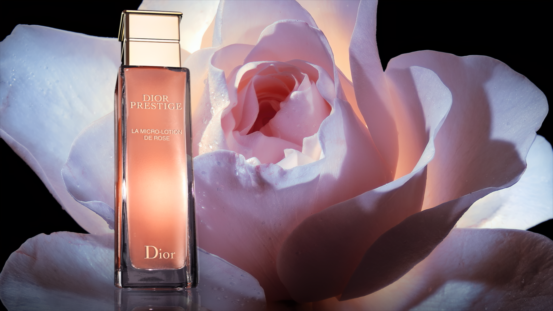 DIOR_ROSE_140.png