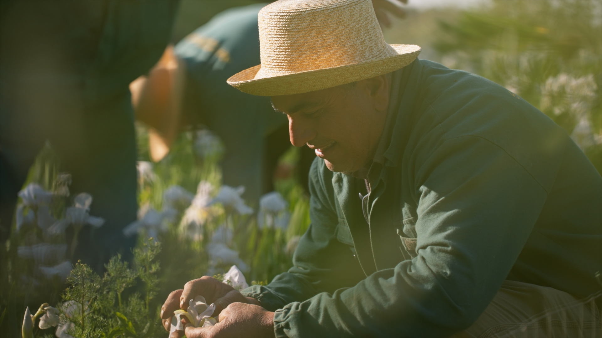 NEW DIOR IRIS GARDEN120.png