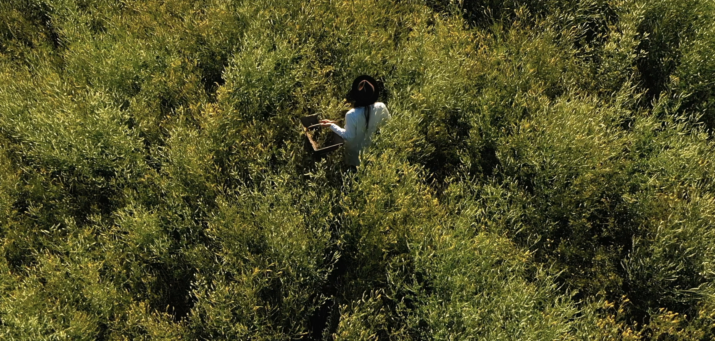 Capture d’écran 2025-11-20 à 15.43.55.png