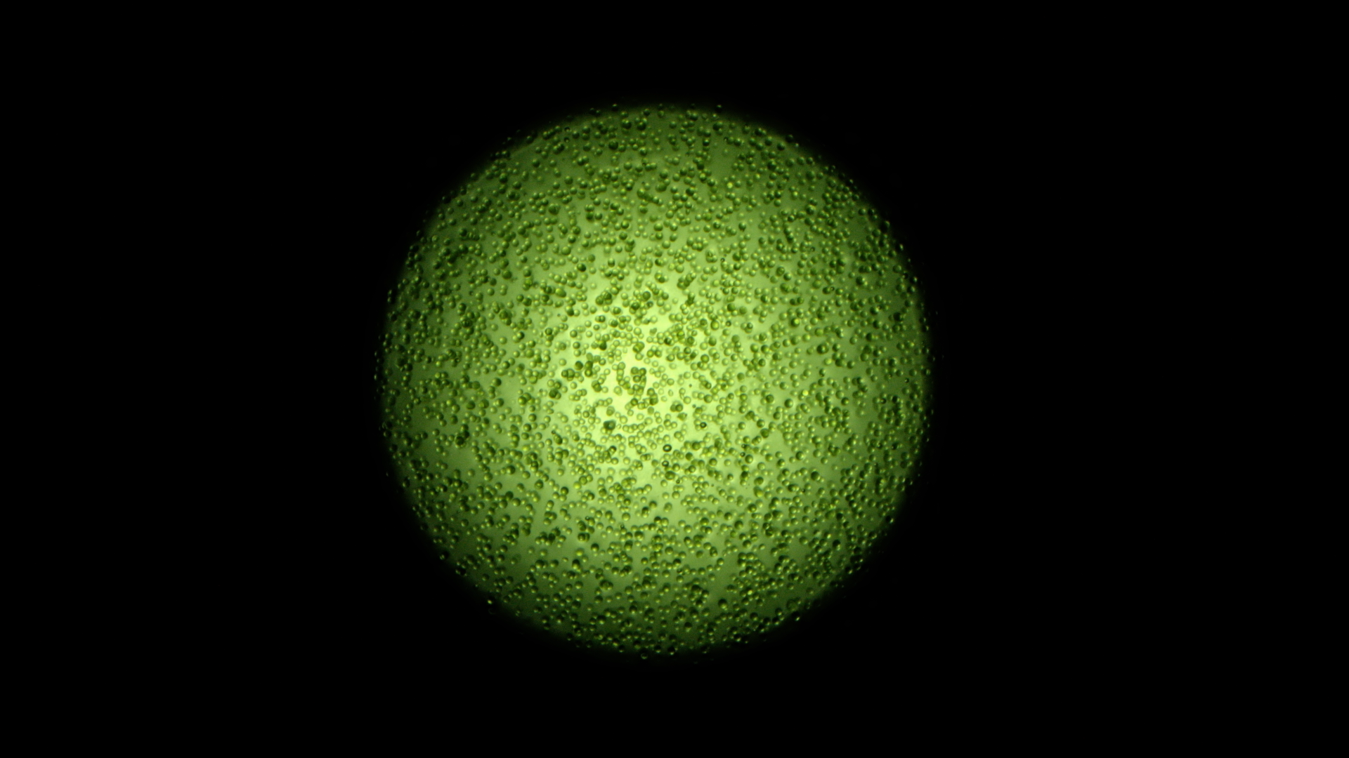 GIORGIO ARMANI_ROUTINE.png130.png