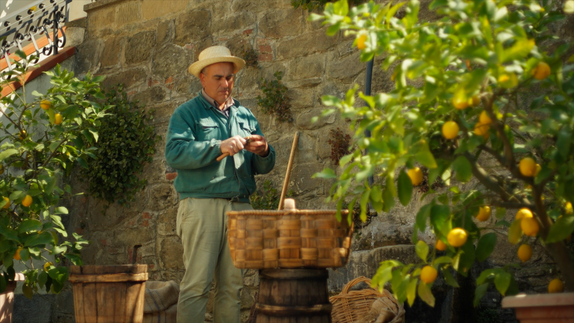 NEW DIOR IRIS GARDEN80.png