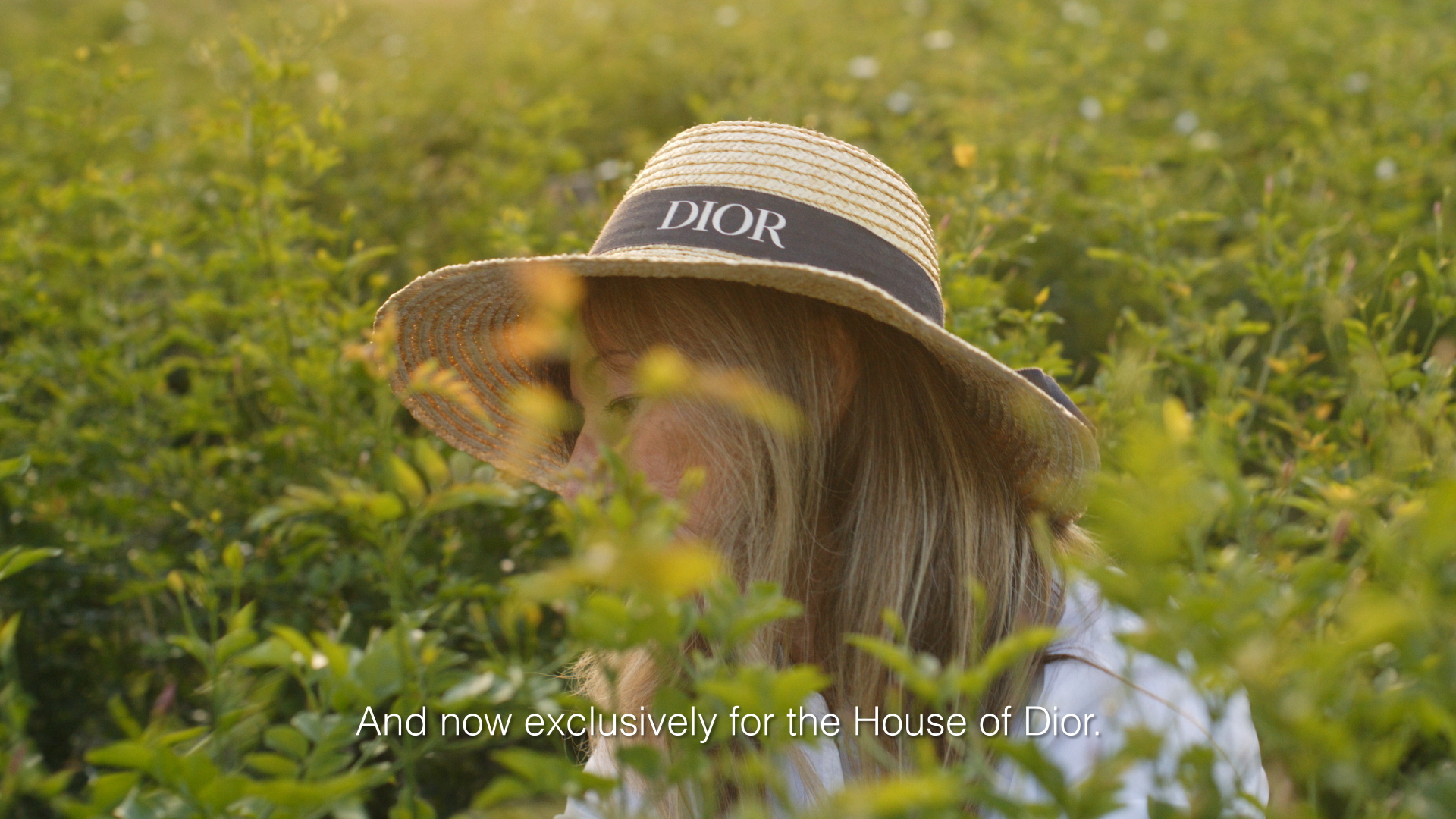 DIOR - RECOLTE JASMIN - GRASSE