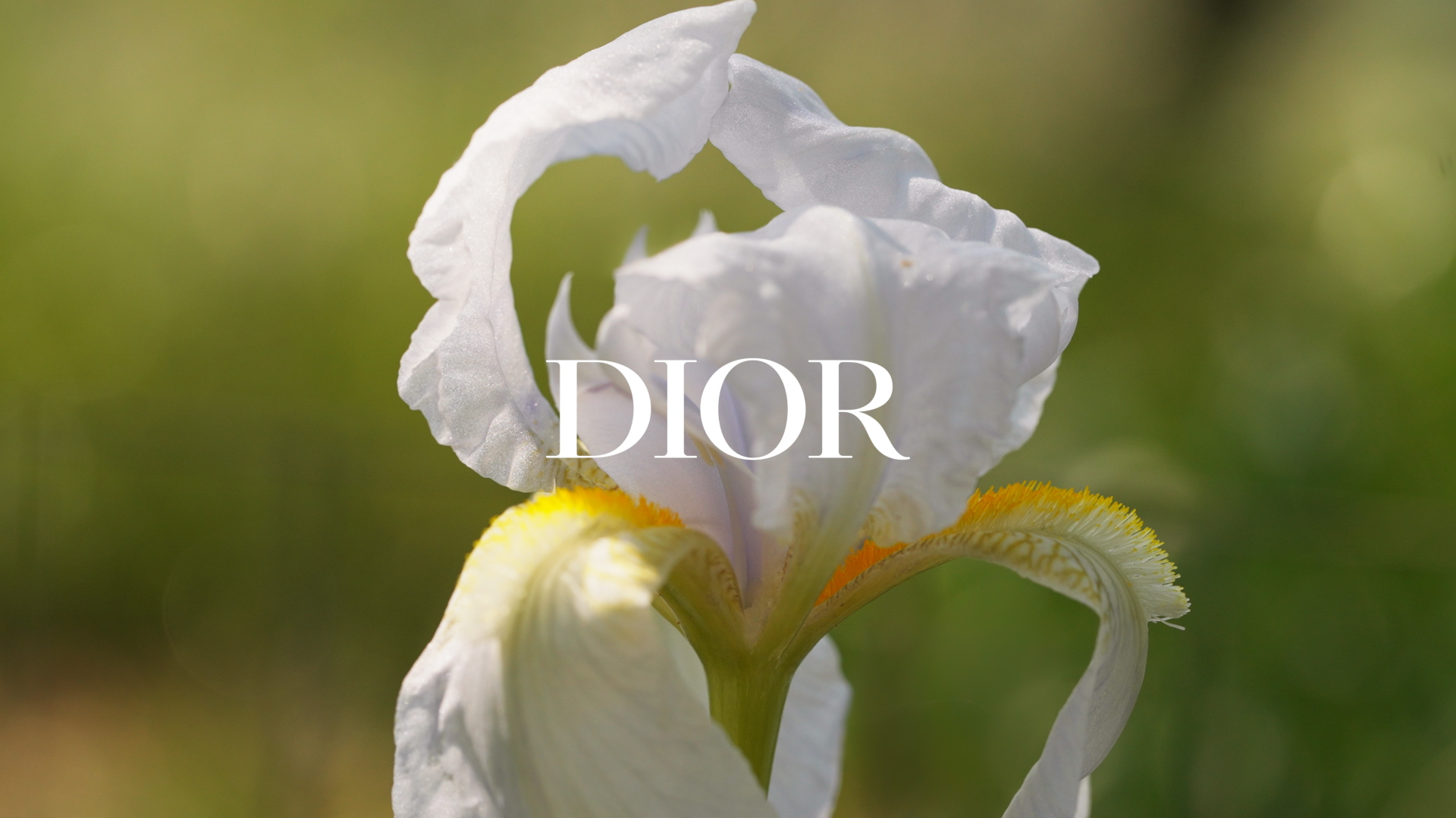 DIOR - THE NEW DIOR IRIS GARDEN - ROOTED IN TUSCANY