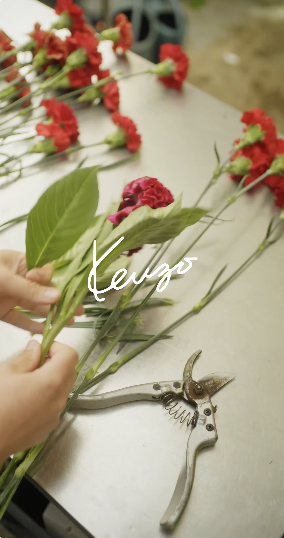 KENZO - LA FÊTE - FLOWERS