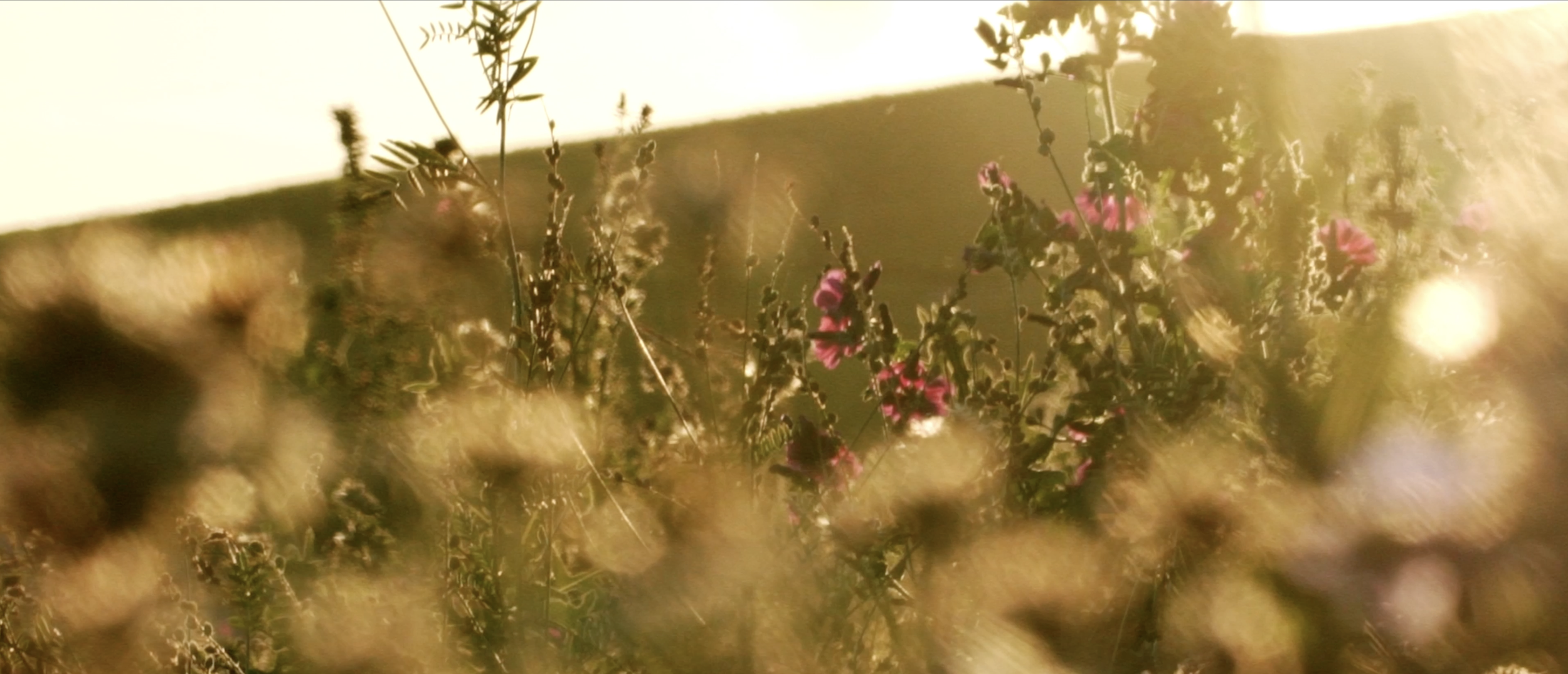 Capture d’écran 2025-11-20 à 15.45.48.png