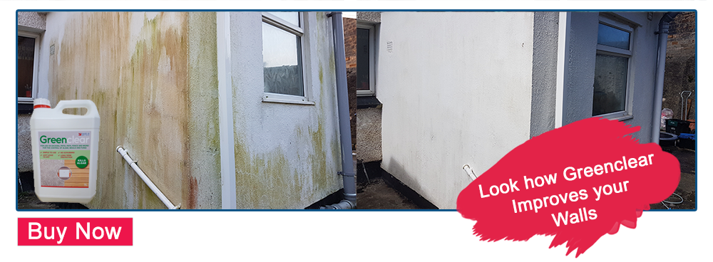 Comparison of a neglected wall with mold and dirt on the left and a clean, white wall after cleaning with Greenclear on the right, demonstrating the product's effectiveness.
