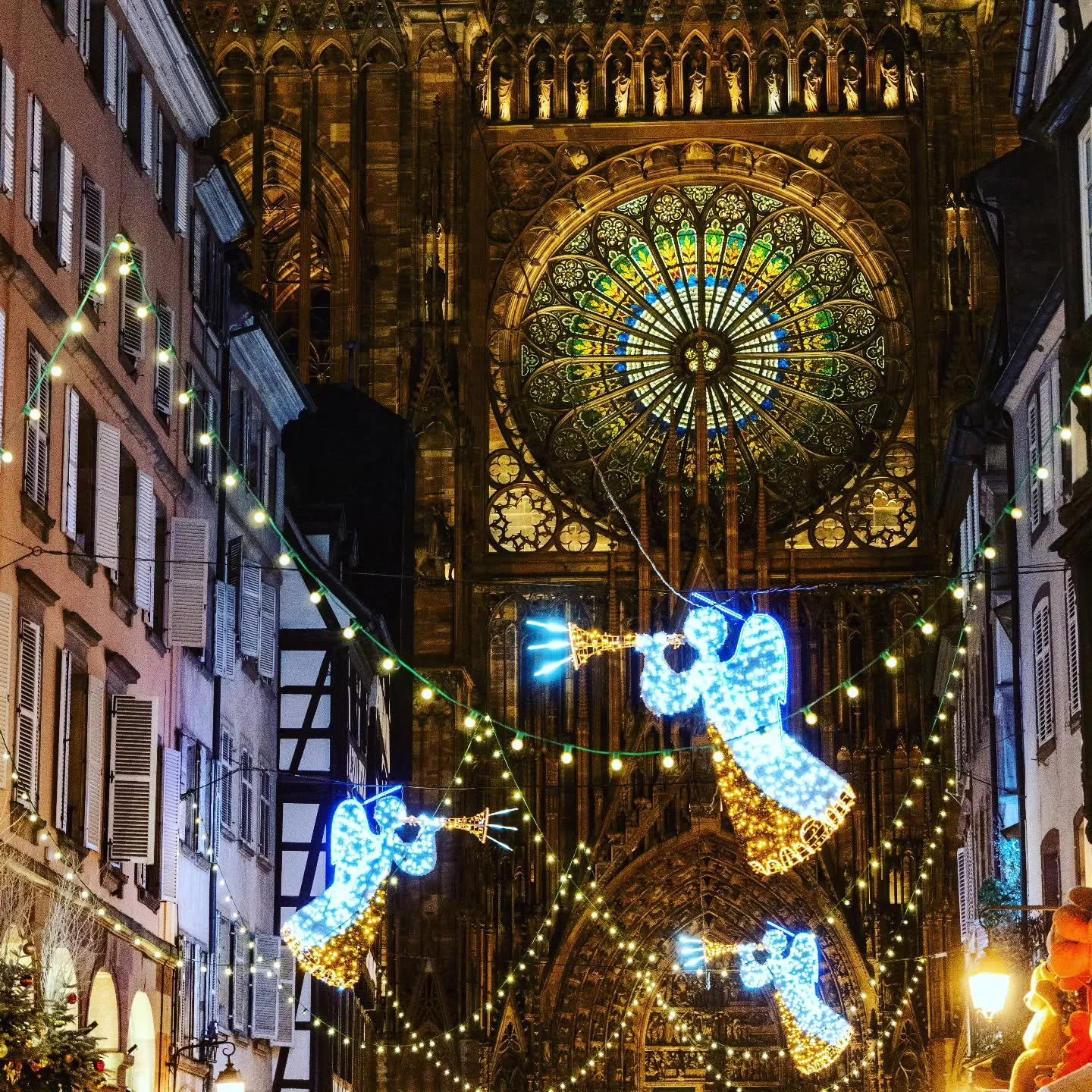 On Wednesdays, we will feature places on our personal bucket-list! Strasbourg, France is one of these destinations! From late November through Christmas, the streets of Strasbourg are meticulously decorated for the holiday season. The scent of mulled