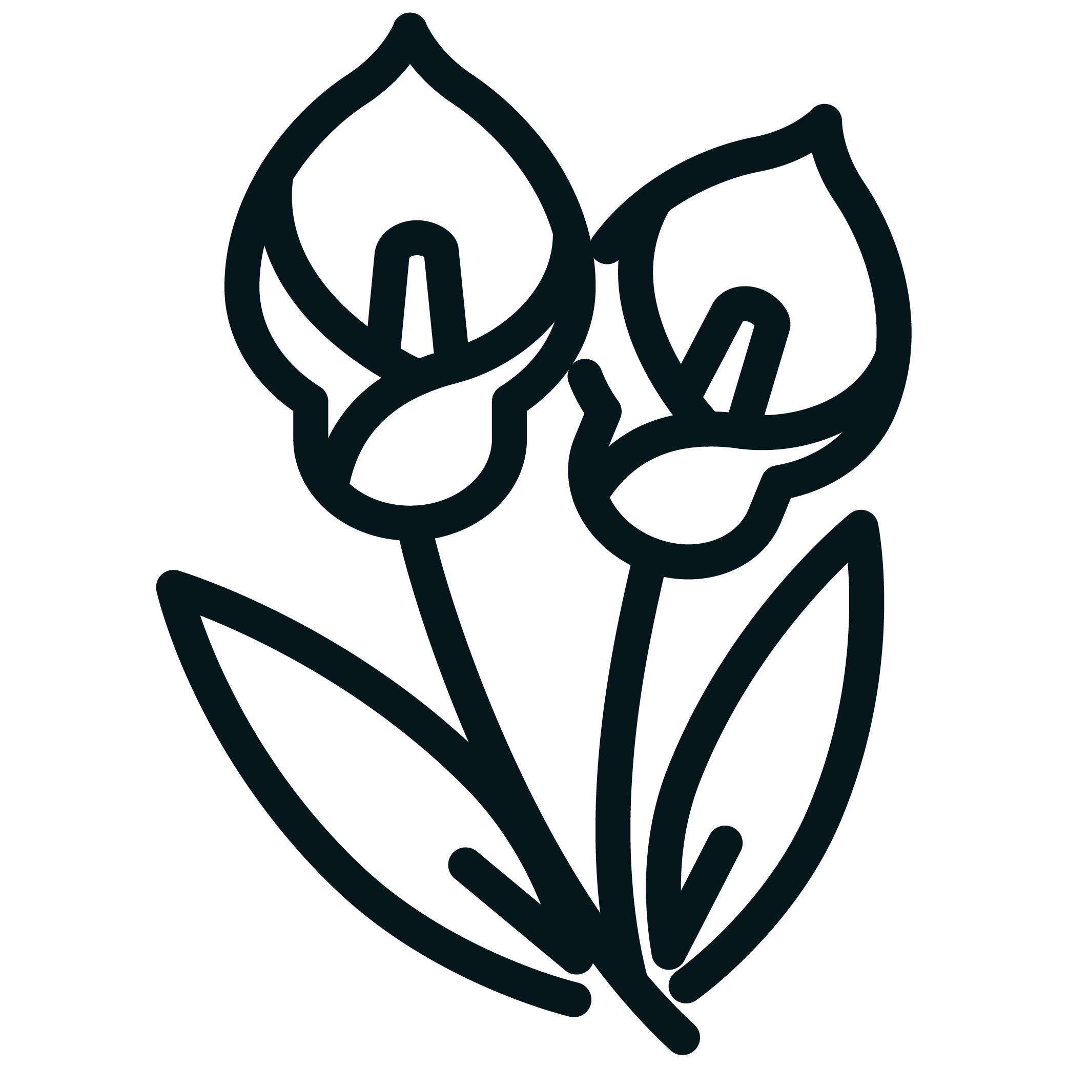 Outline drawing of two flowers with leaves on a black background.