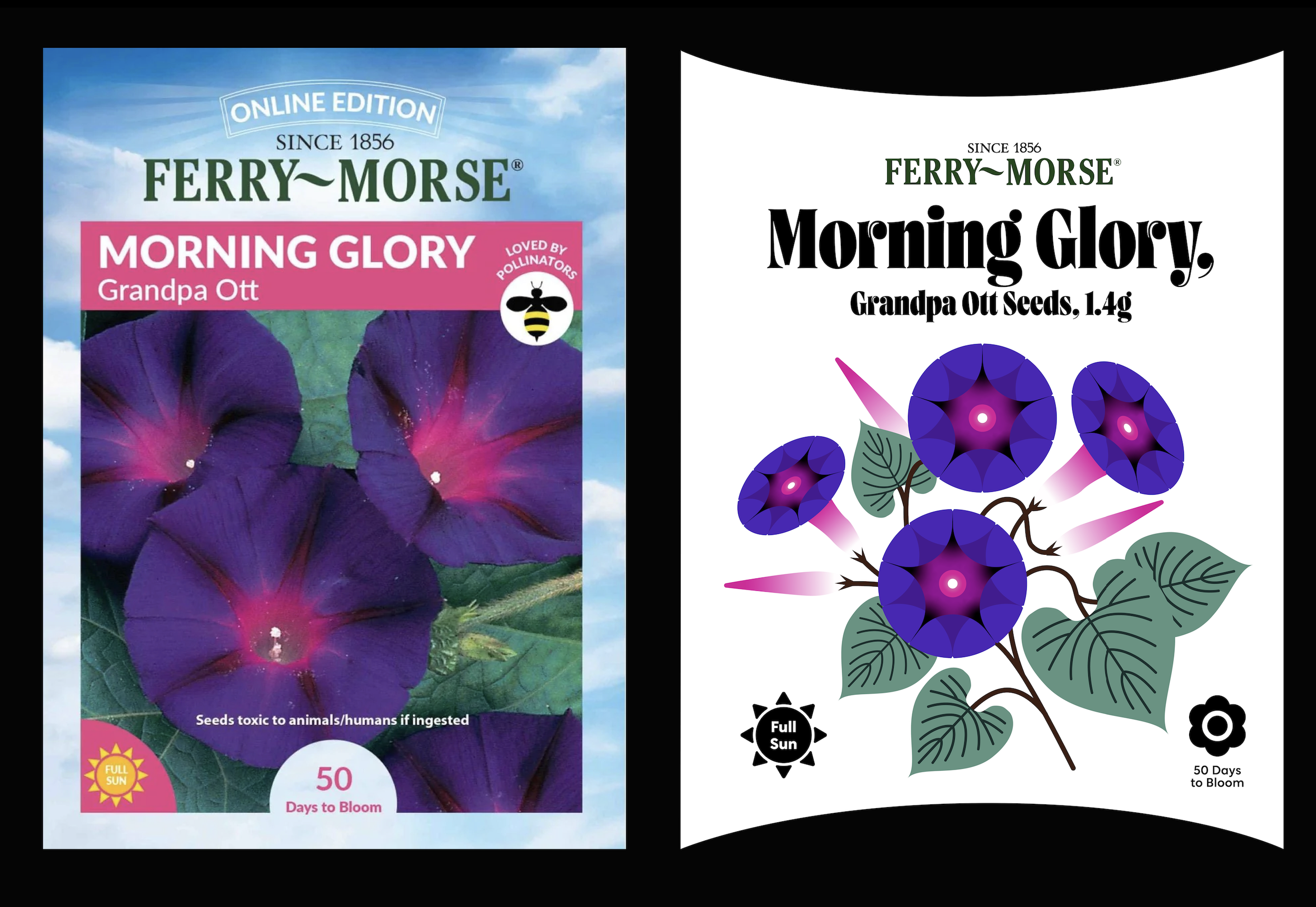 Ferry Morse Rebrand