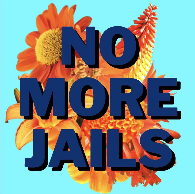 Bright blue background with large orange flowers and dark blue text saying "NO MORE JAILS".