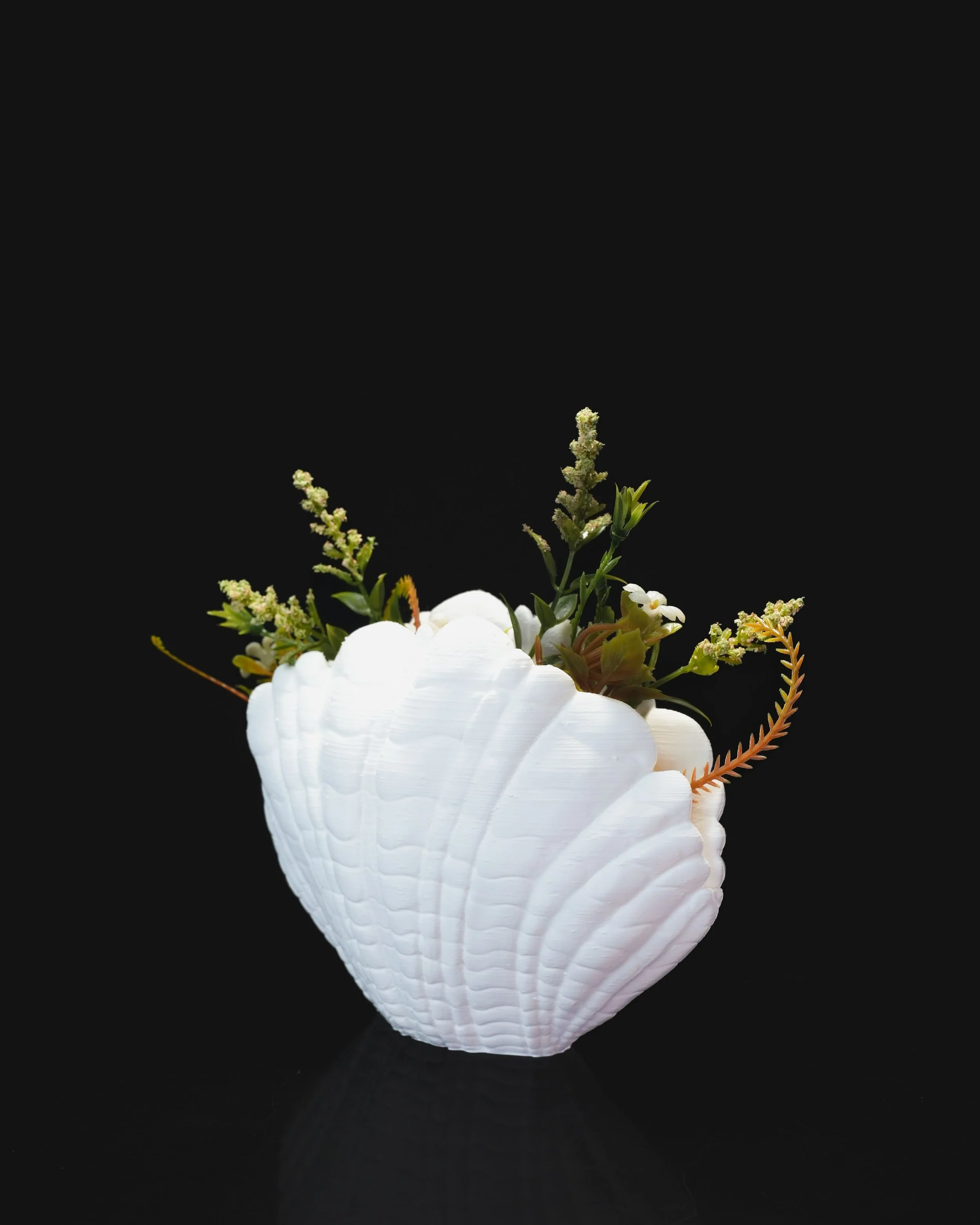 Seashell Planter