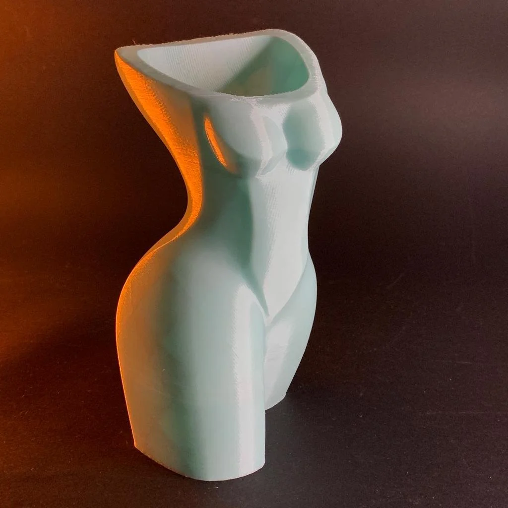 Elegant Modern Muse Art Vase