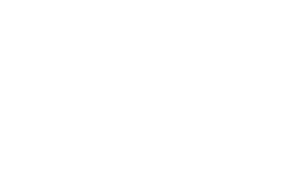Brasilia