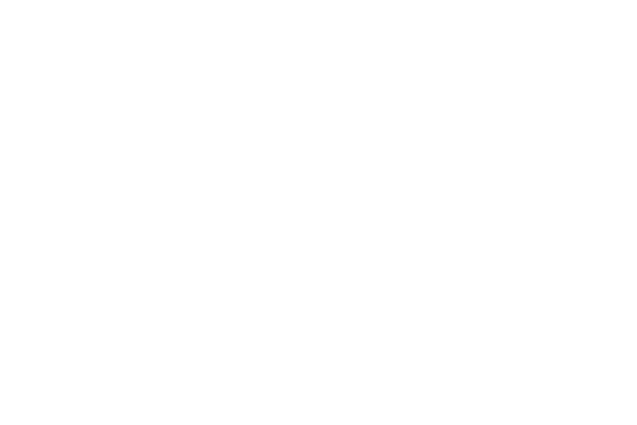  la spaziale