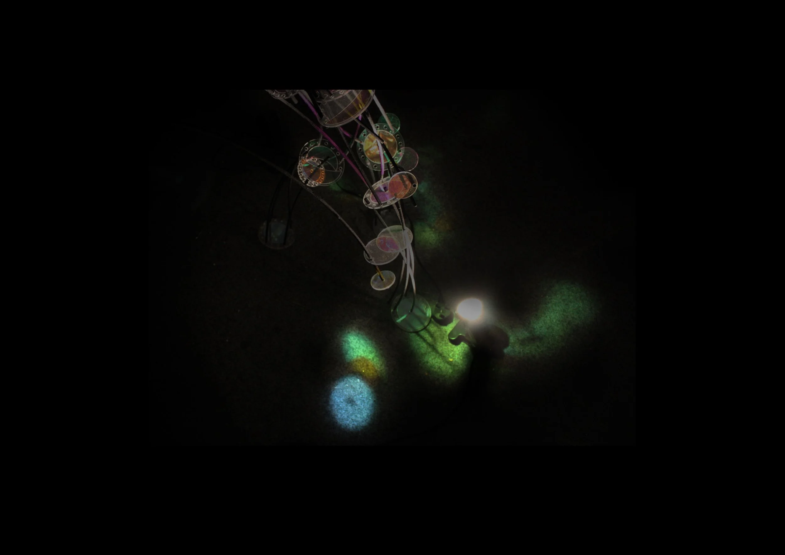 Following the light.