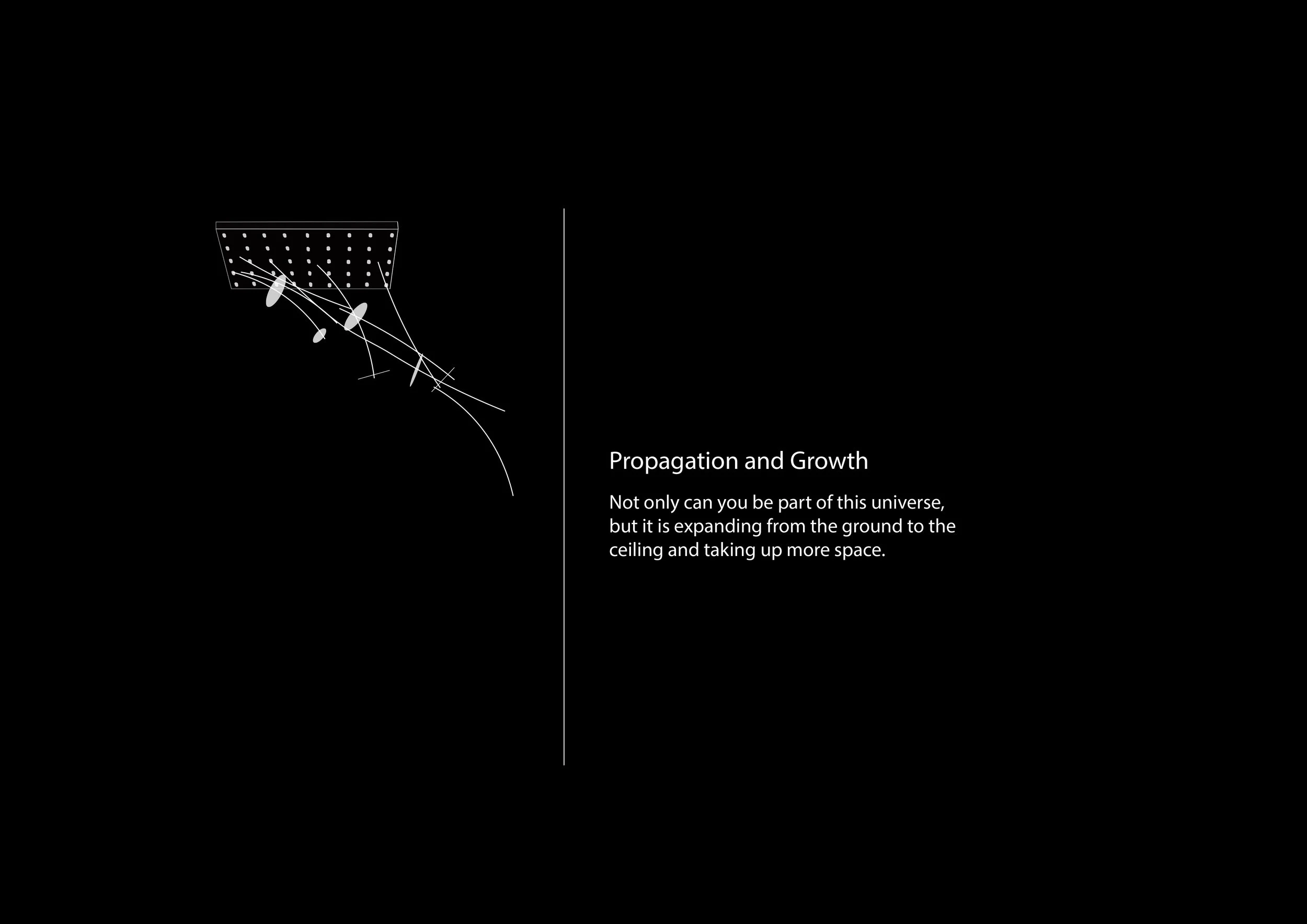 Propagation and Growth.