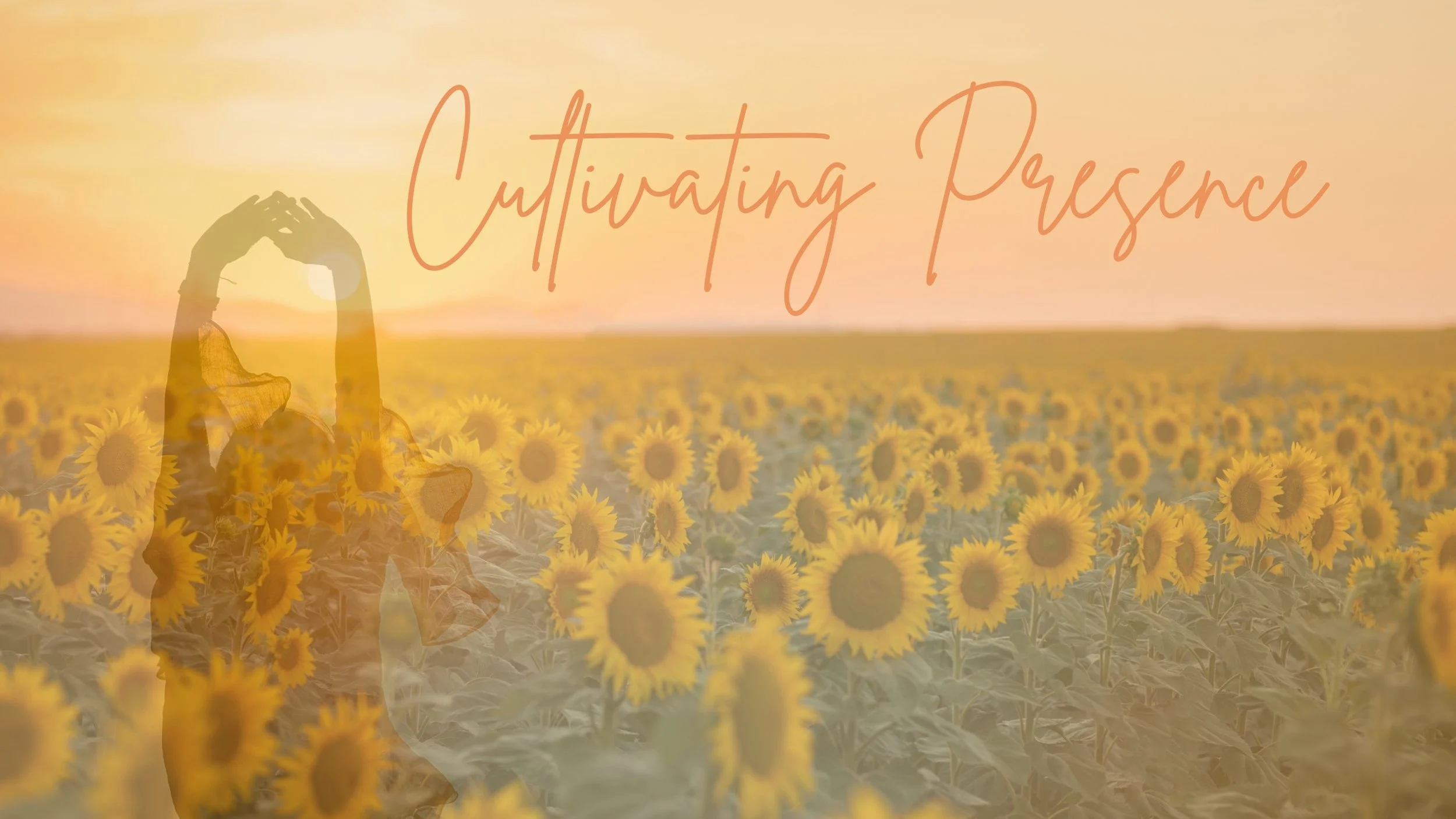 A person standing in a sunflower field at sunset, with arms raised forming a heart shape with their hands, and the words 'Cultivating Presence' written across the sky.