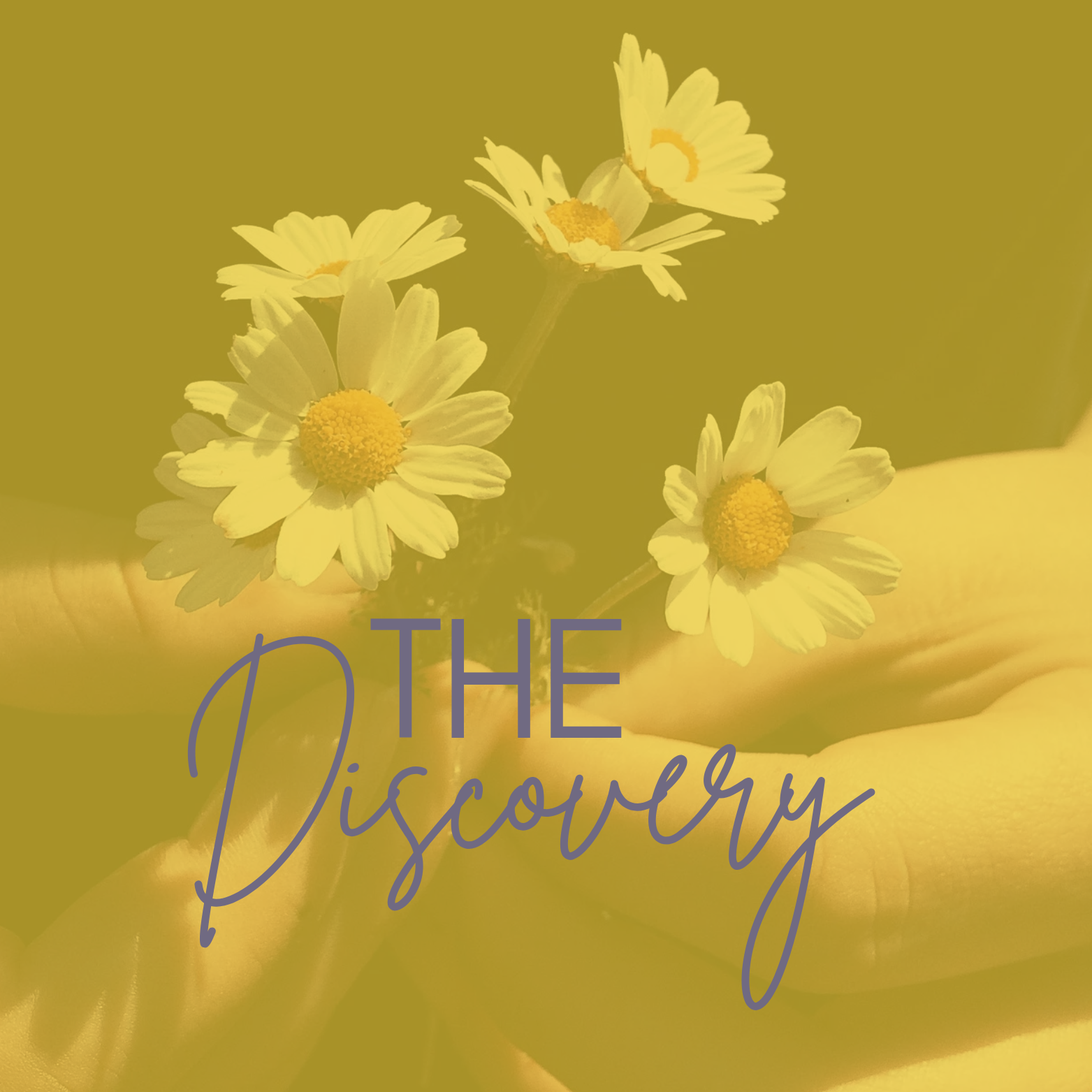 Yellow background with a bouquet of daisies and the text 'The Discovery' in purple font.
