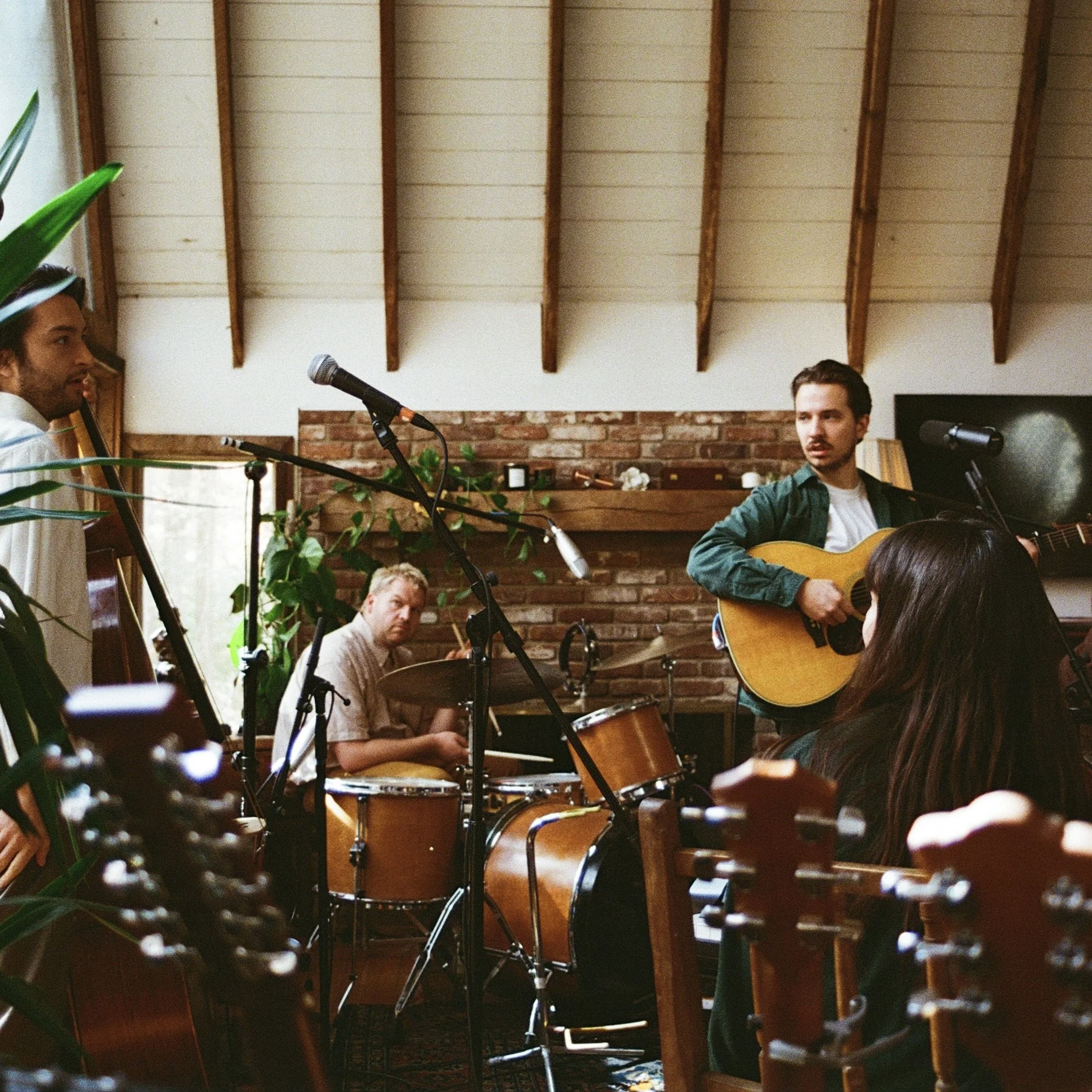 SLEEPING TREES//WESTHEAD//THE MATRIARCH