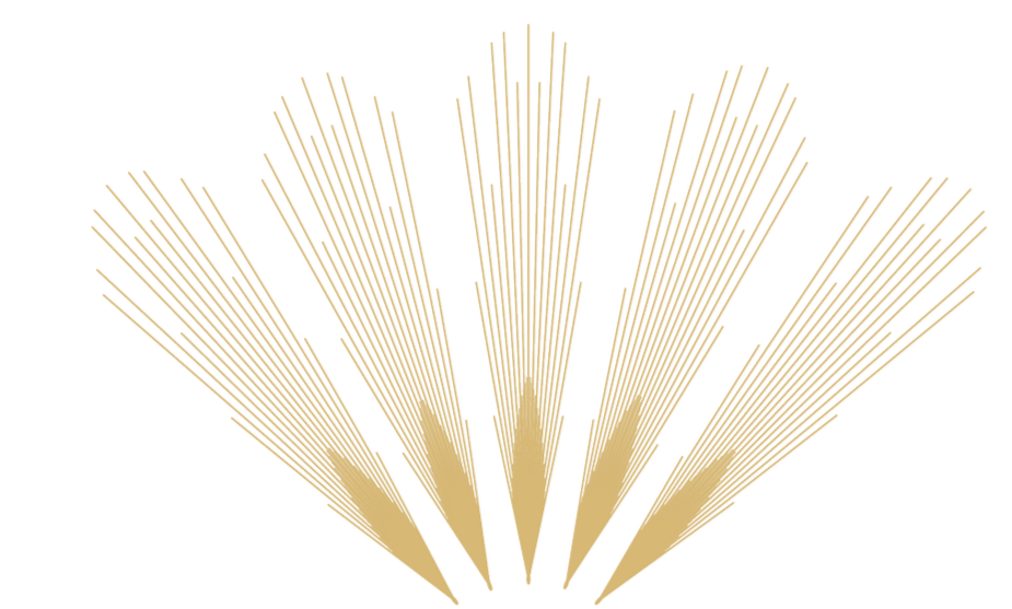 Golden fireworks exploding against a black night sky.