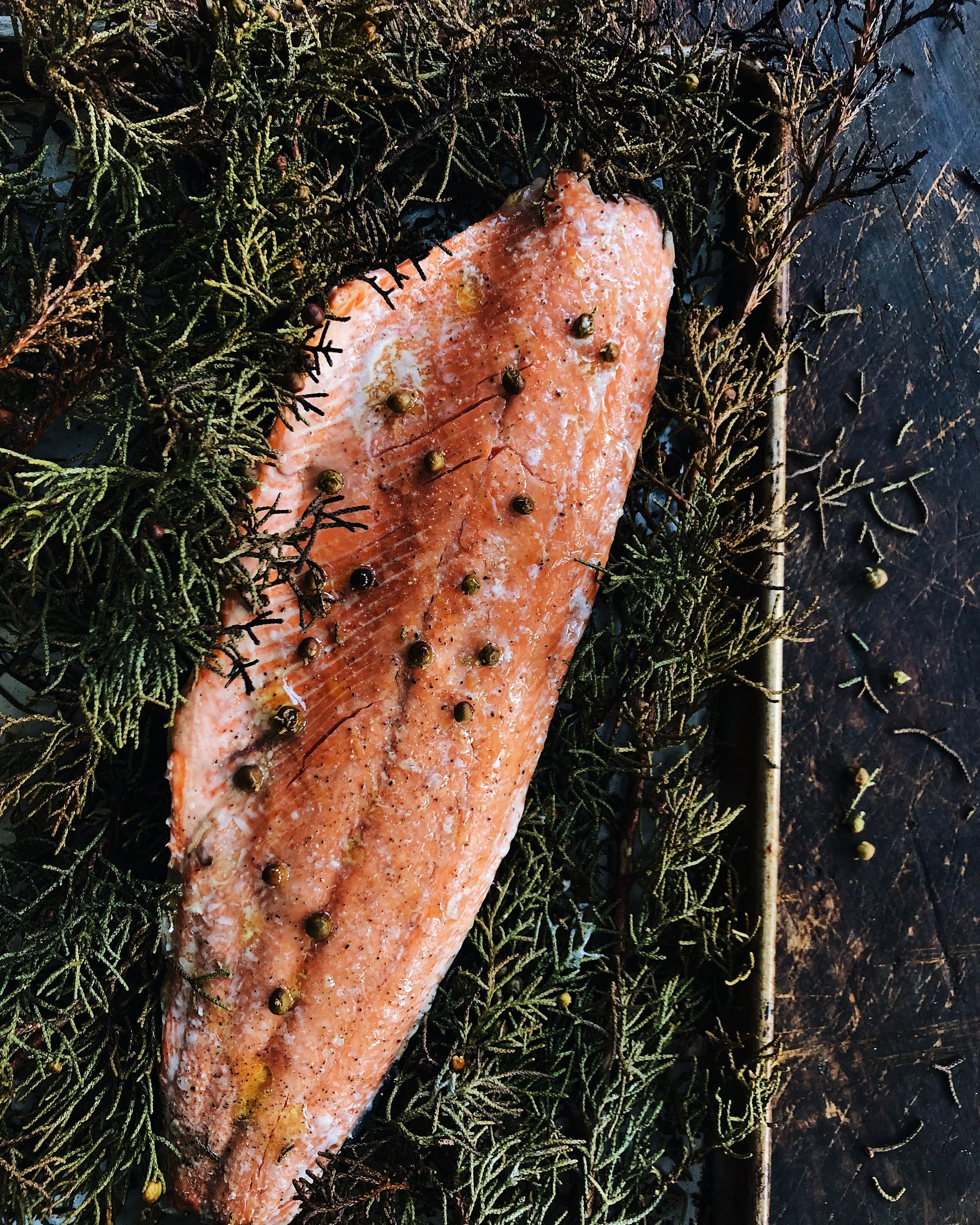 170F16F3-4043-4774-8FFA-36835FD04C07 2.JPG