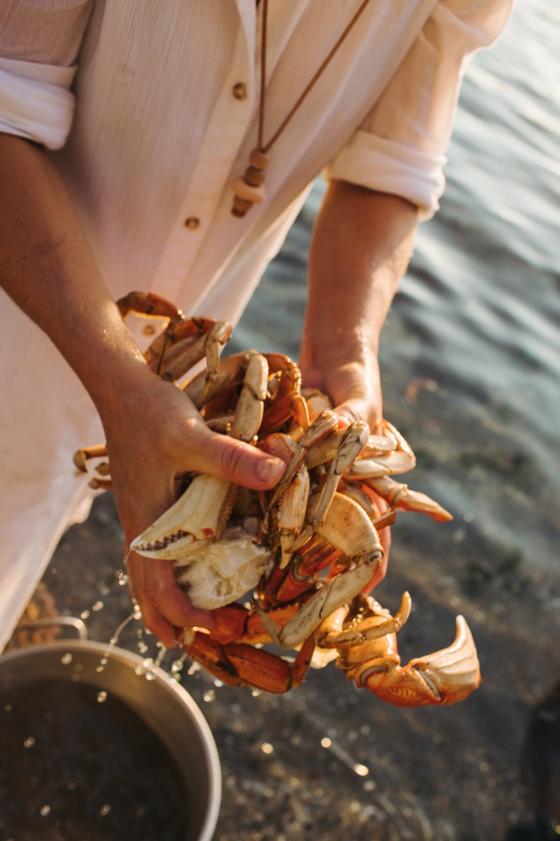 Person holding a fresh crab over the water at the shoreline.